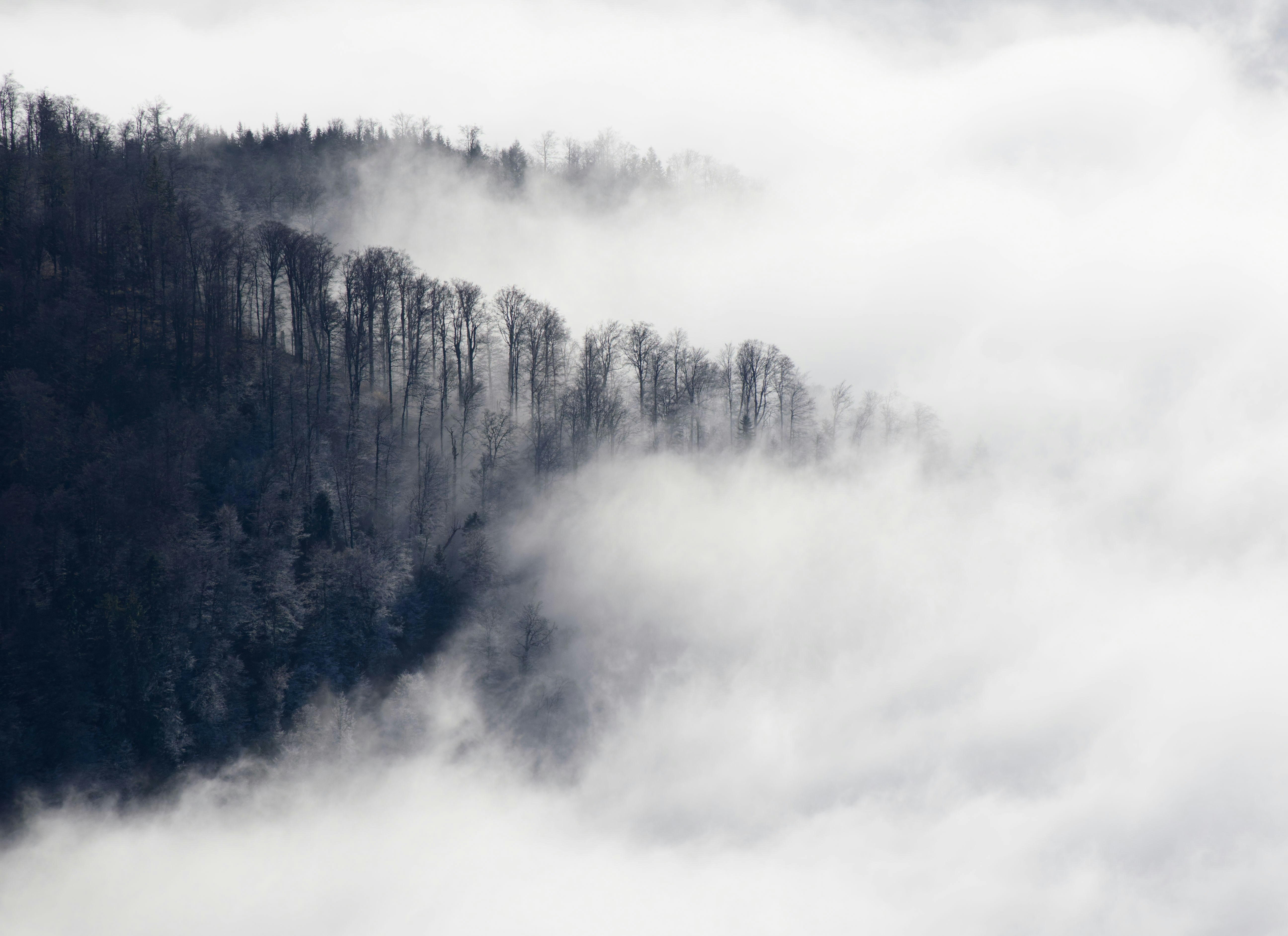 Photo by illes_cristi