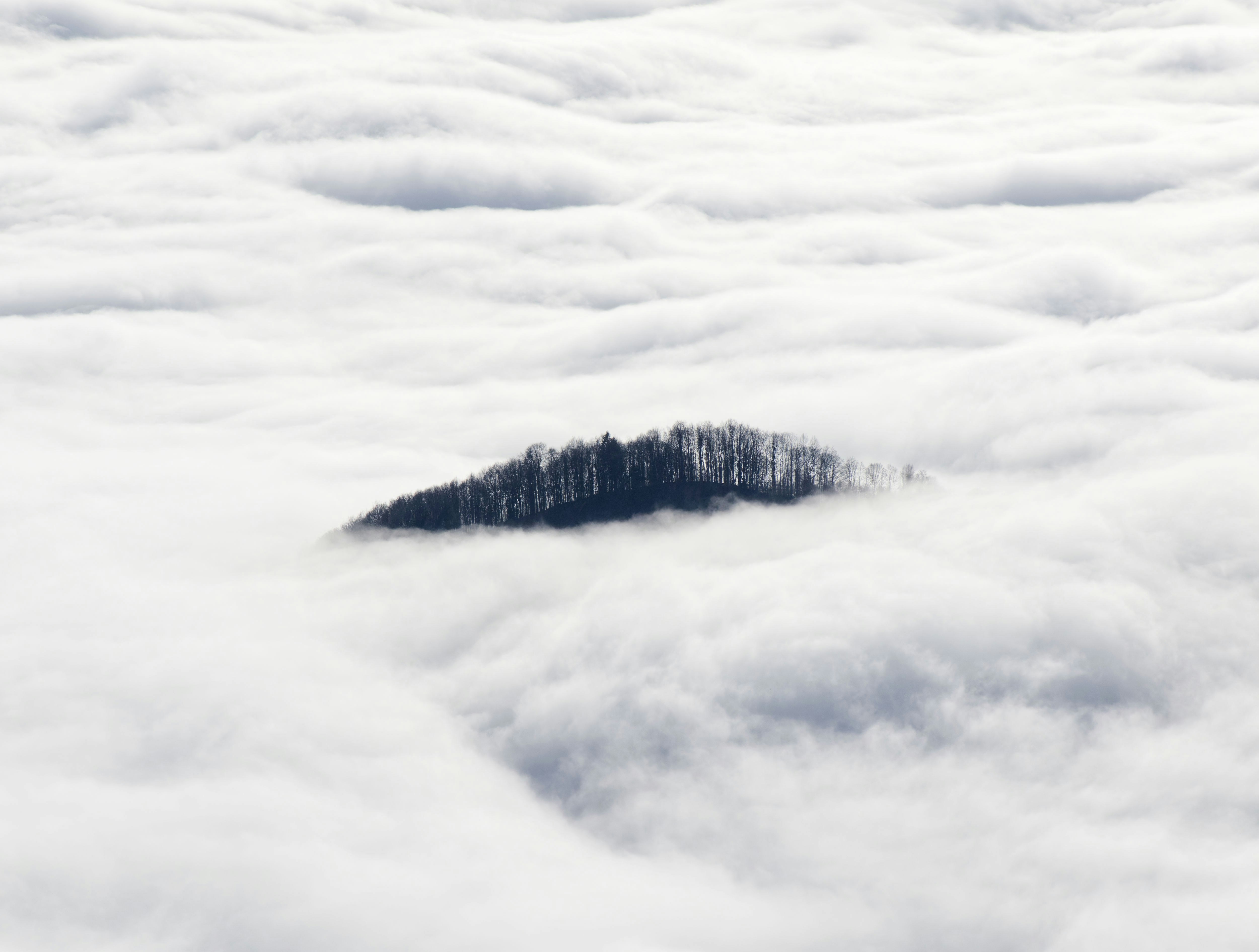 Photo by illes_cristi