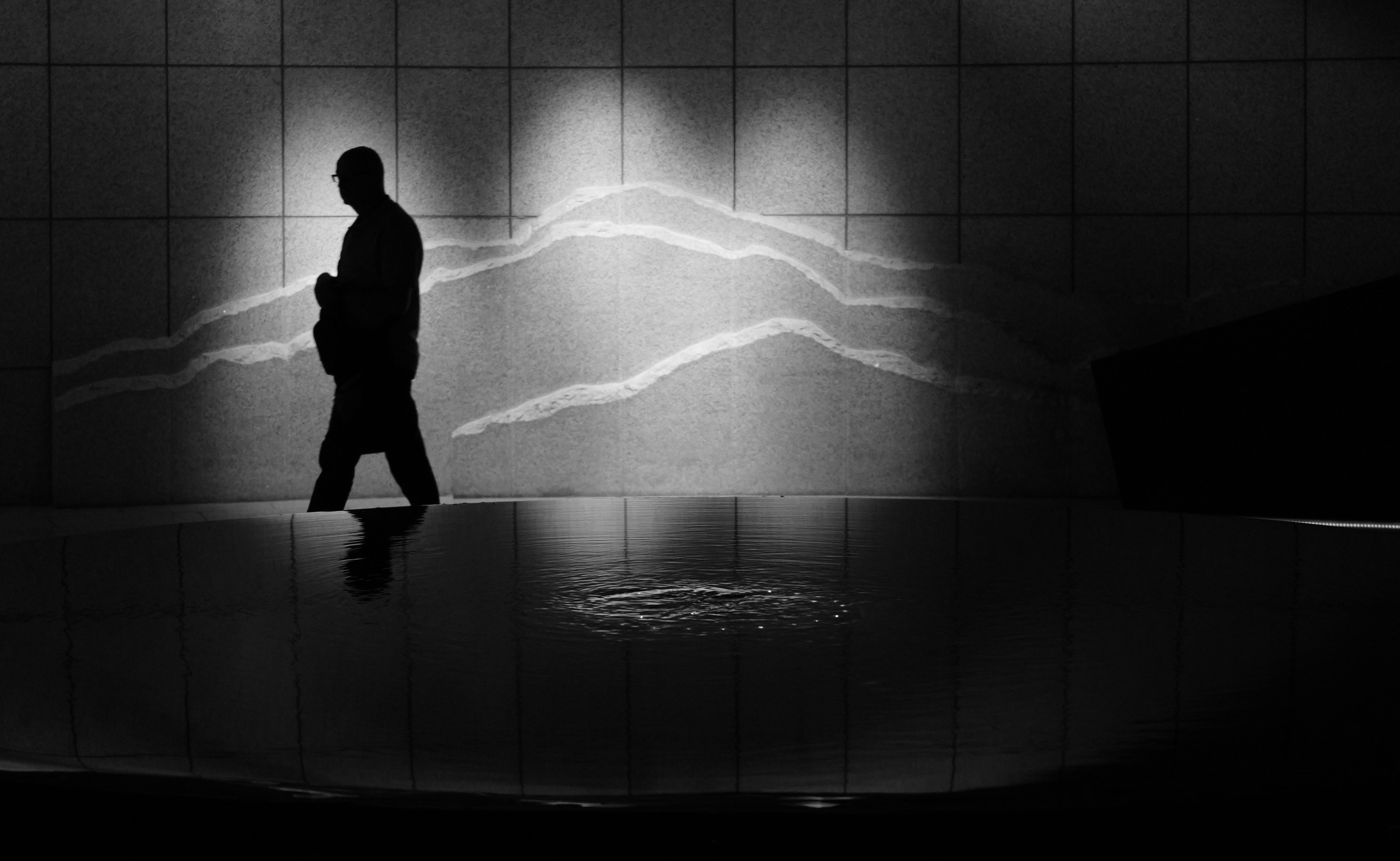 Silhouette of a person walking near water