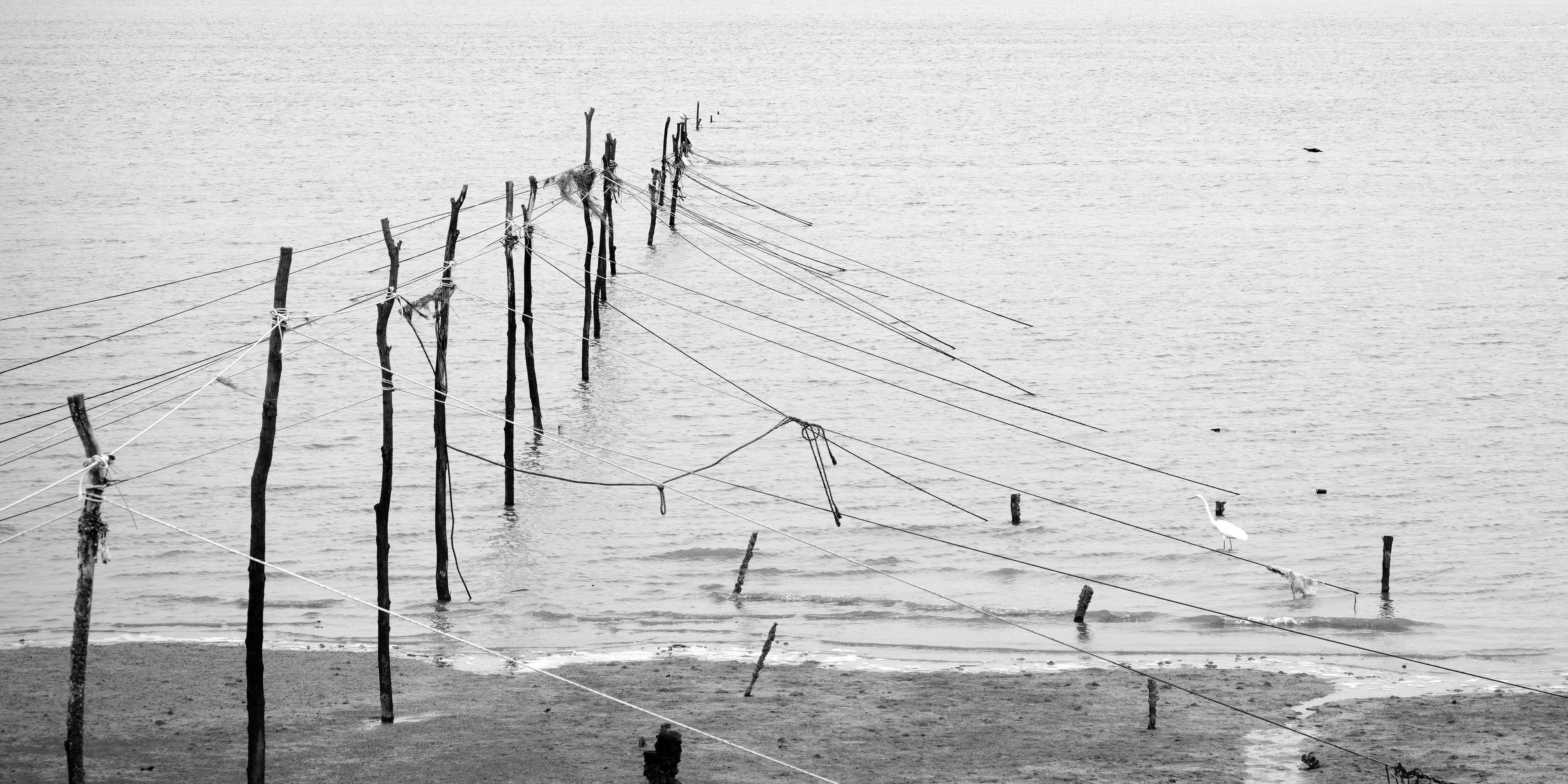 Wooden poles and fishing nets in shallow water