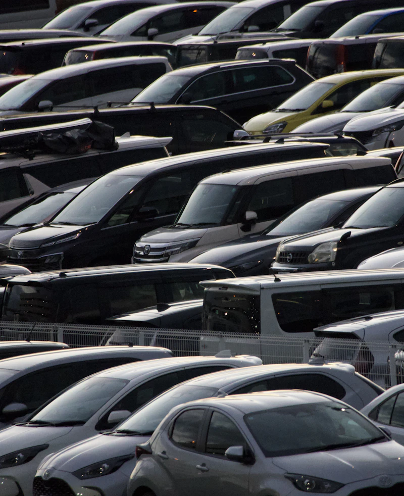 Servizio Fleet Management COSMAN