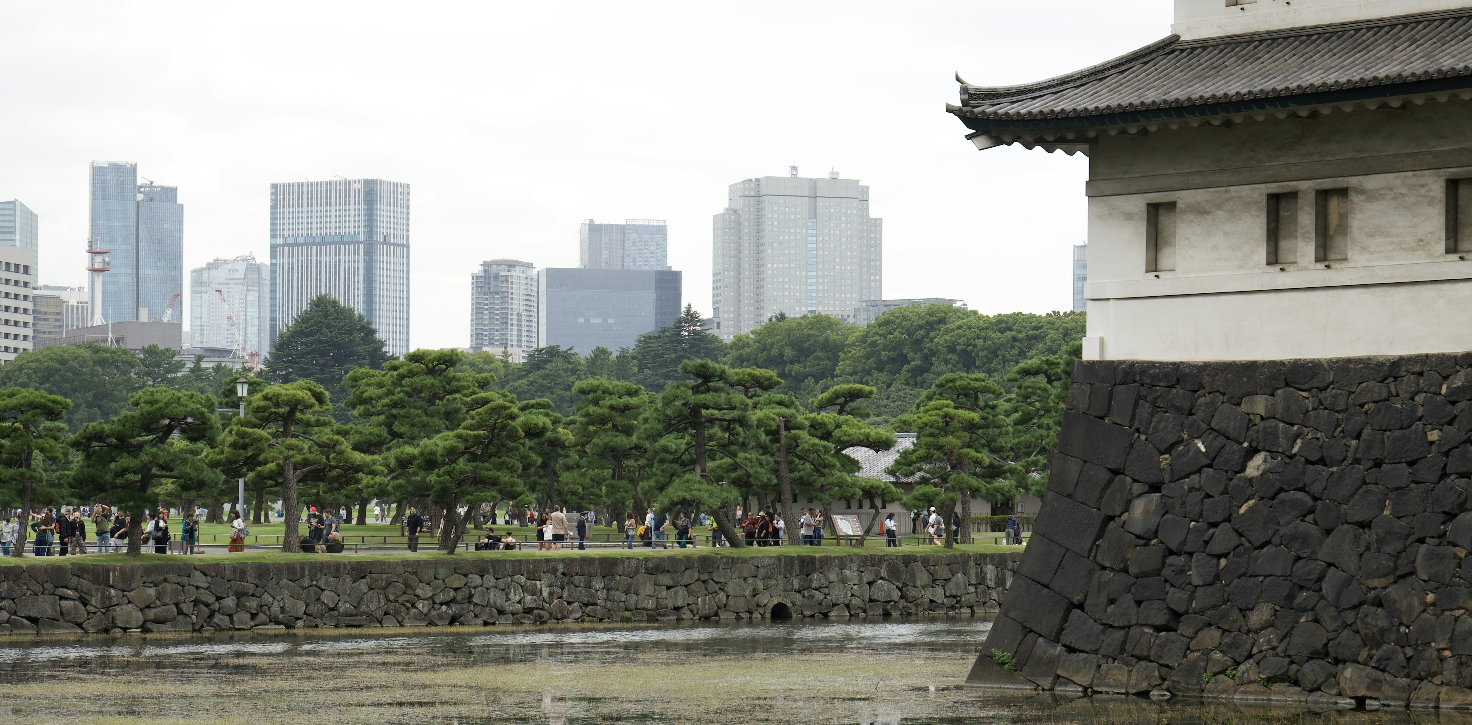 Castle wall with modern buildings and park in background