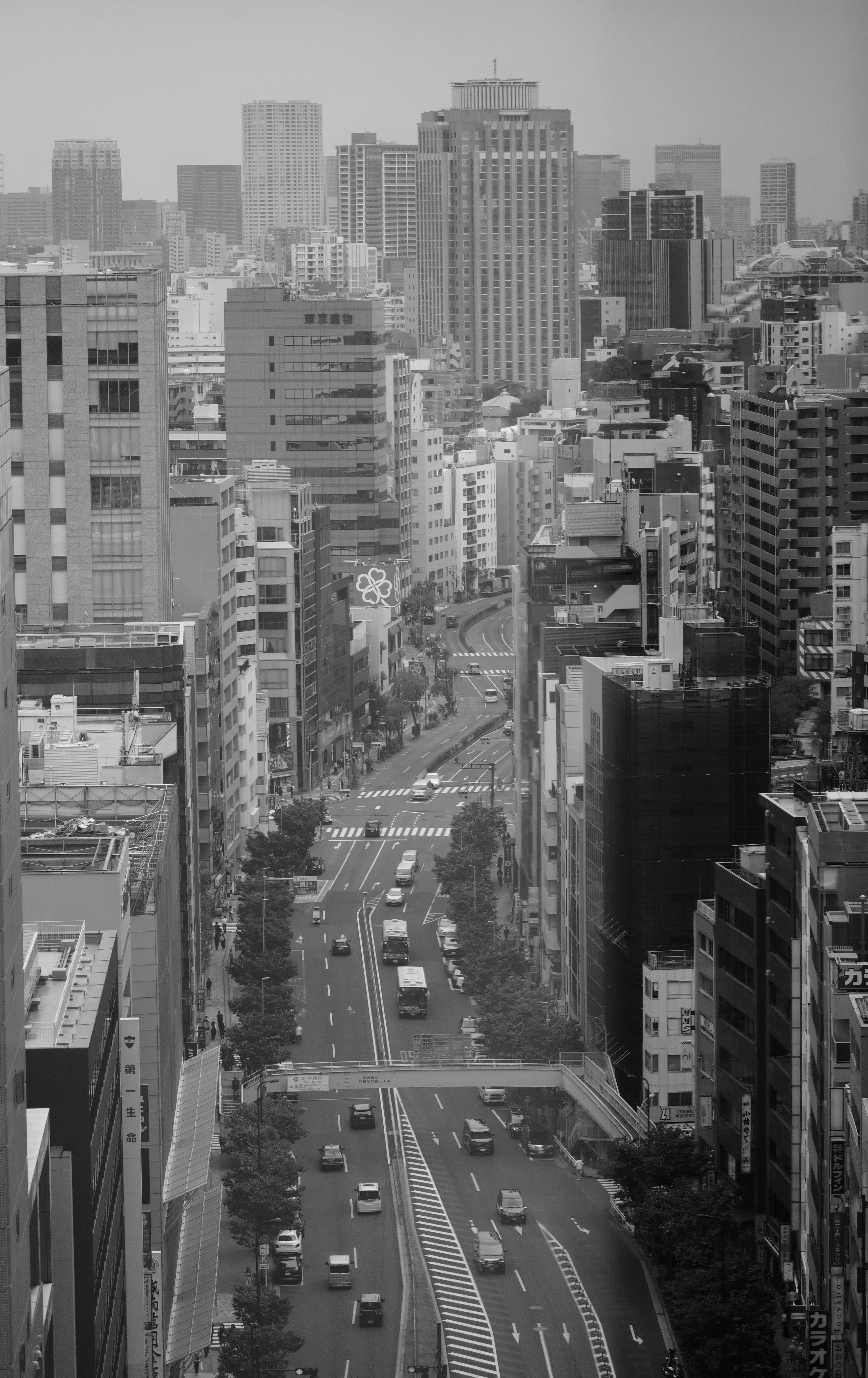 Schwarz-weiße Stadtlandschaft mit belebten Straßen und Gebäuden.