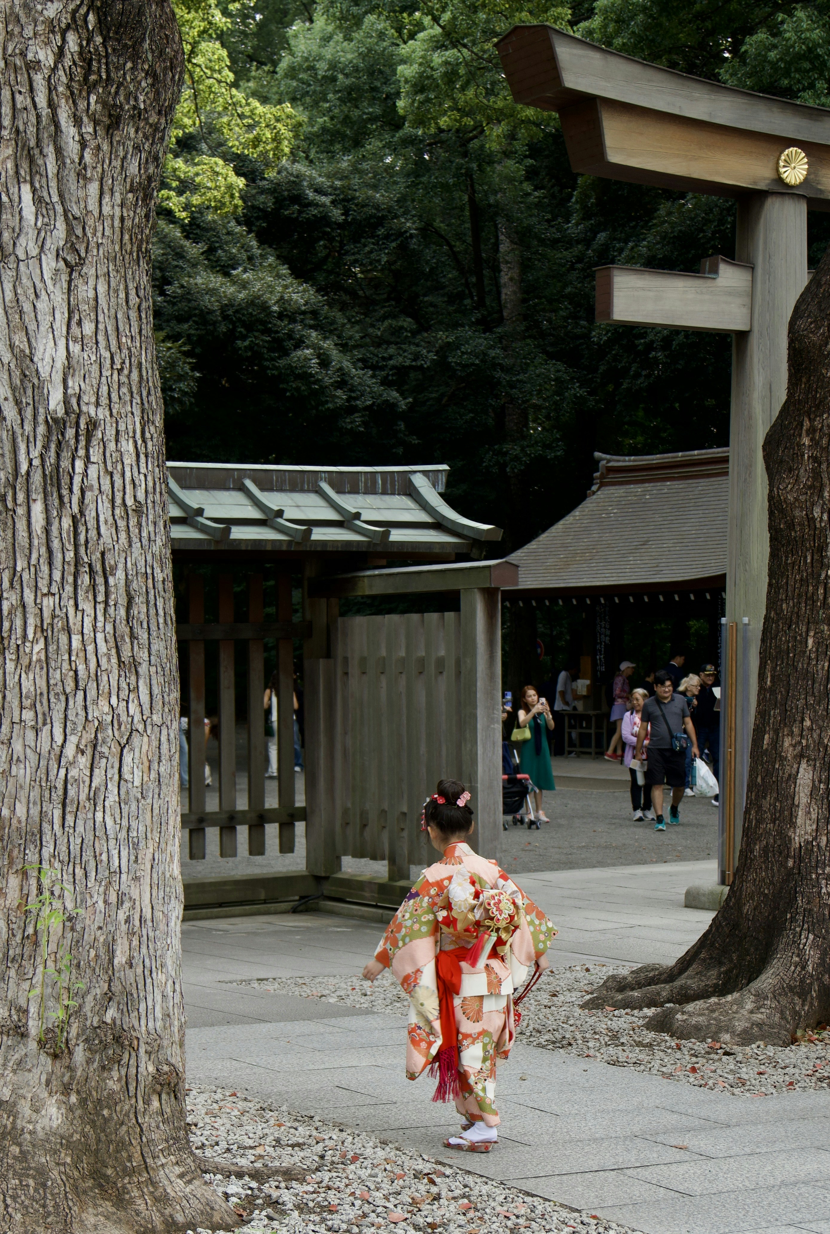Young girl in kimono walks towards shrine entrance