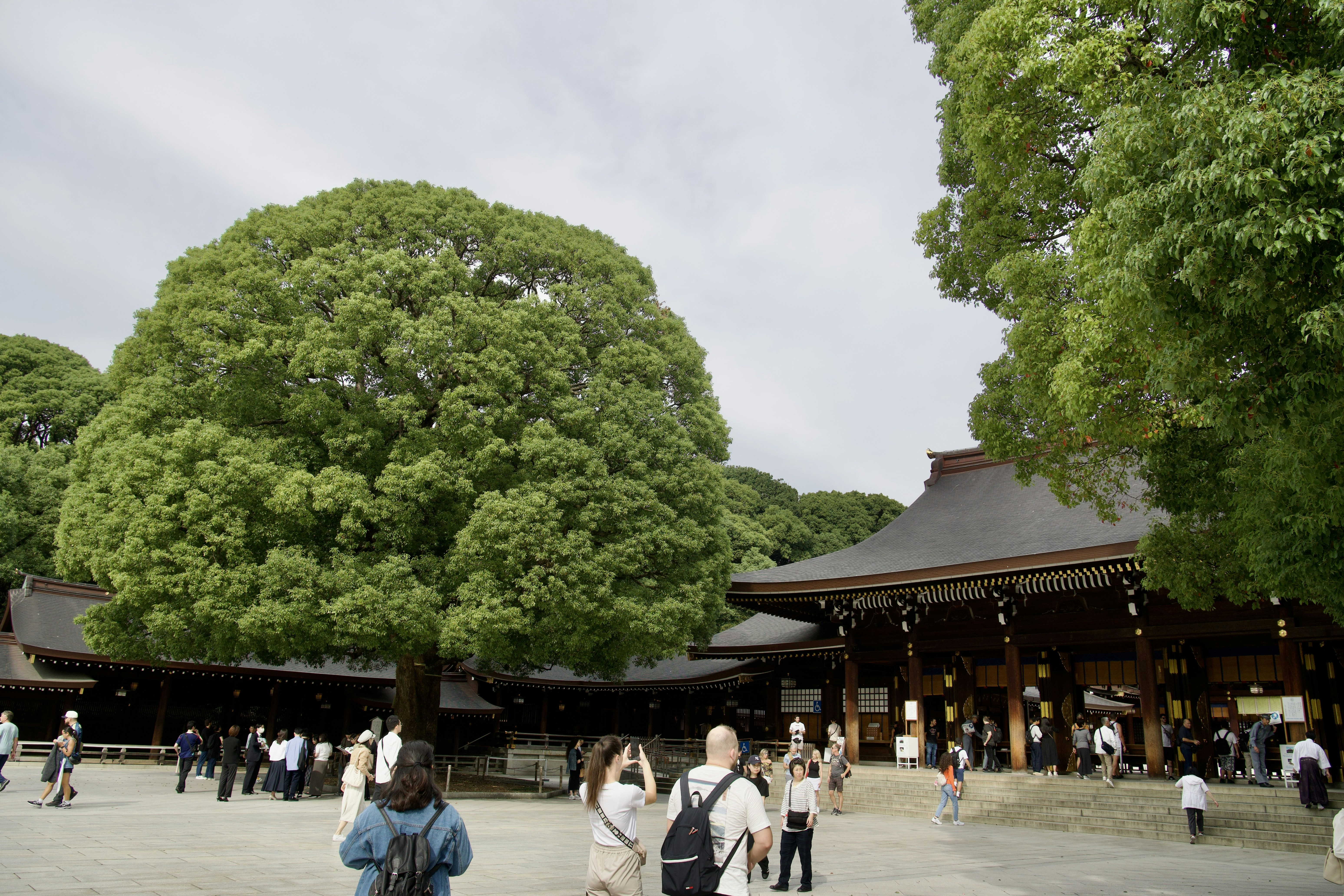 People visiting a large temple with lush green trees.