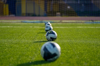 Soccer balls lined up on a green field.