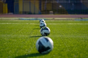 Soccer balls lined up on a green field.