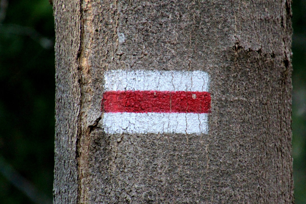 Що означають позначки на туристичних маршрутах: кольори, стрілки та знаки