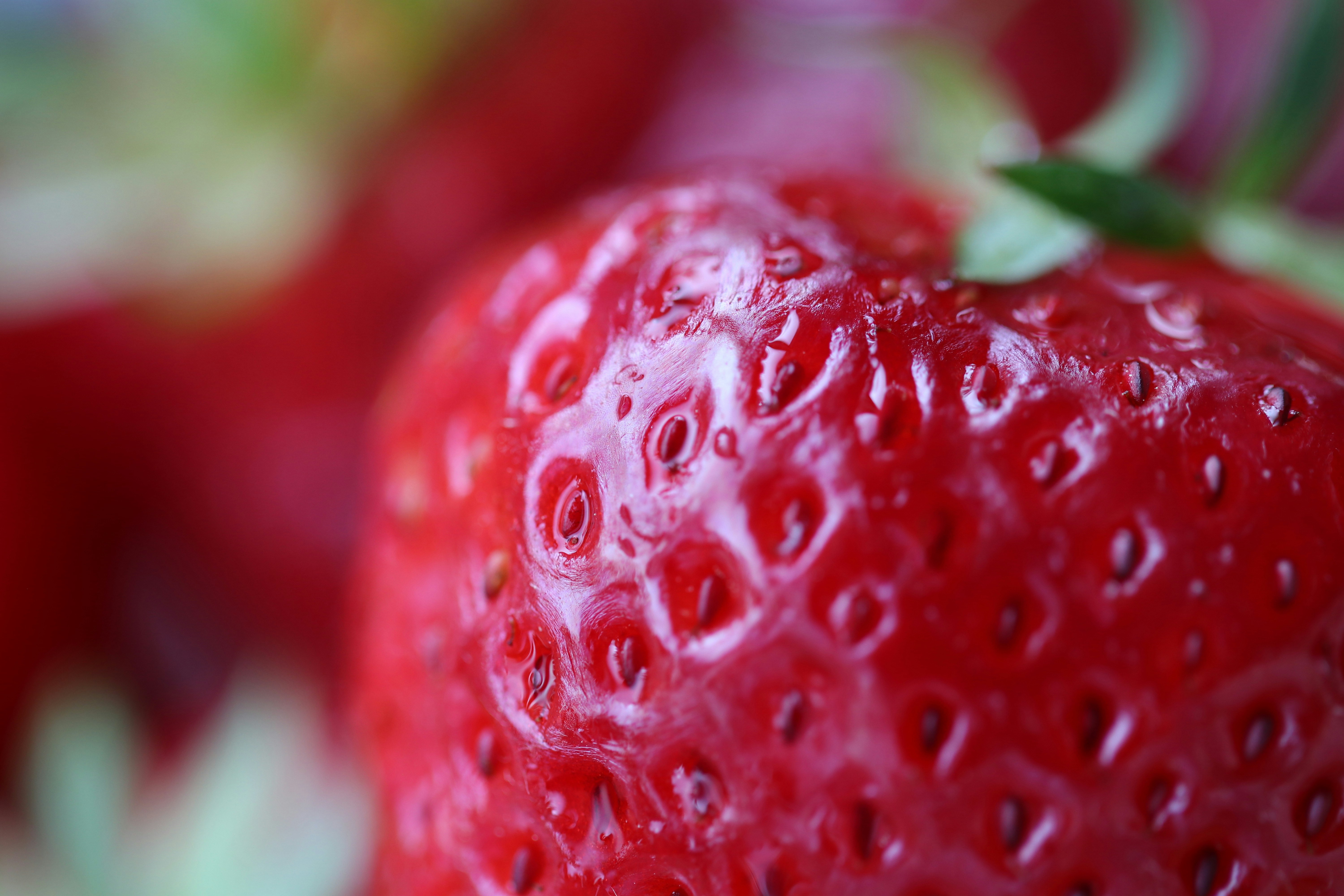 Photo by glenniceburns