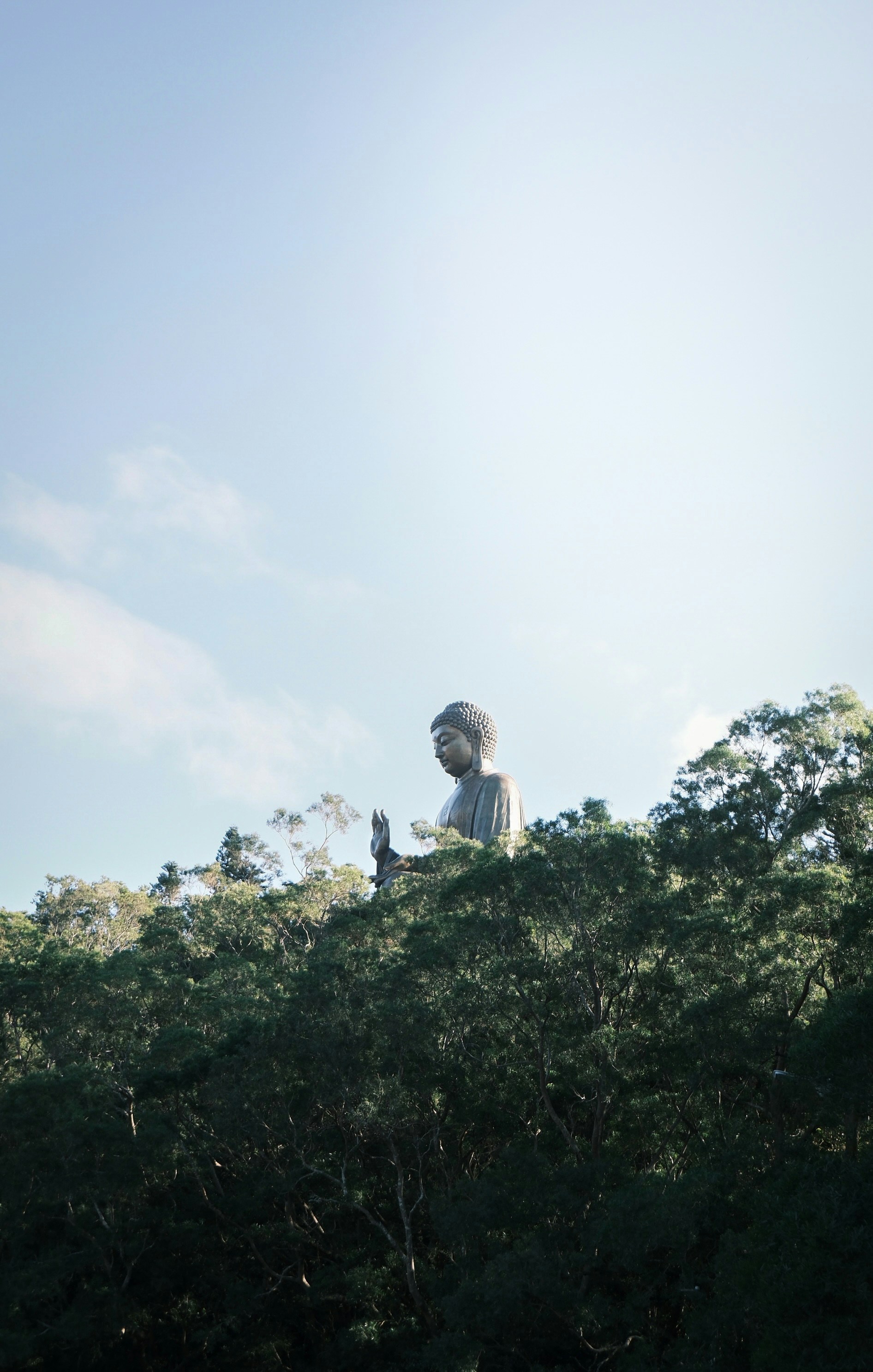 Giant buddha statue peeking above lush green trees.