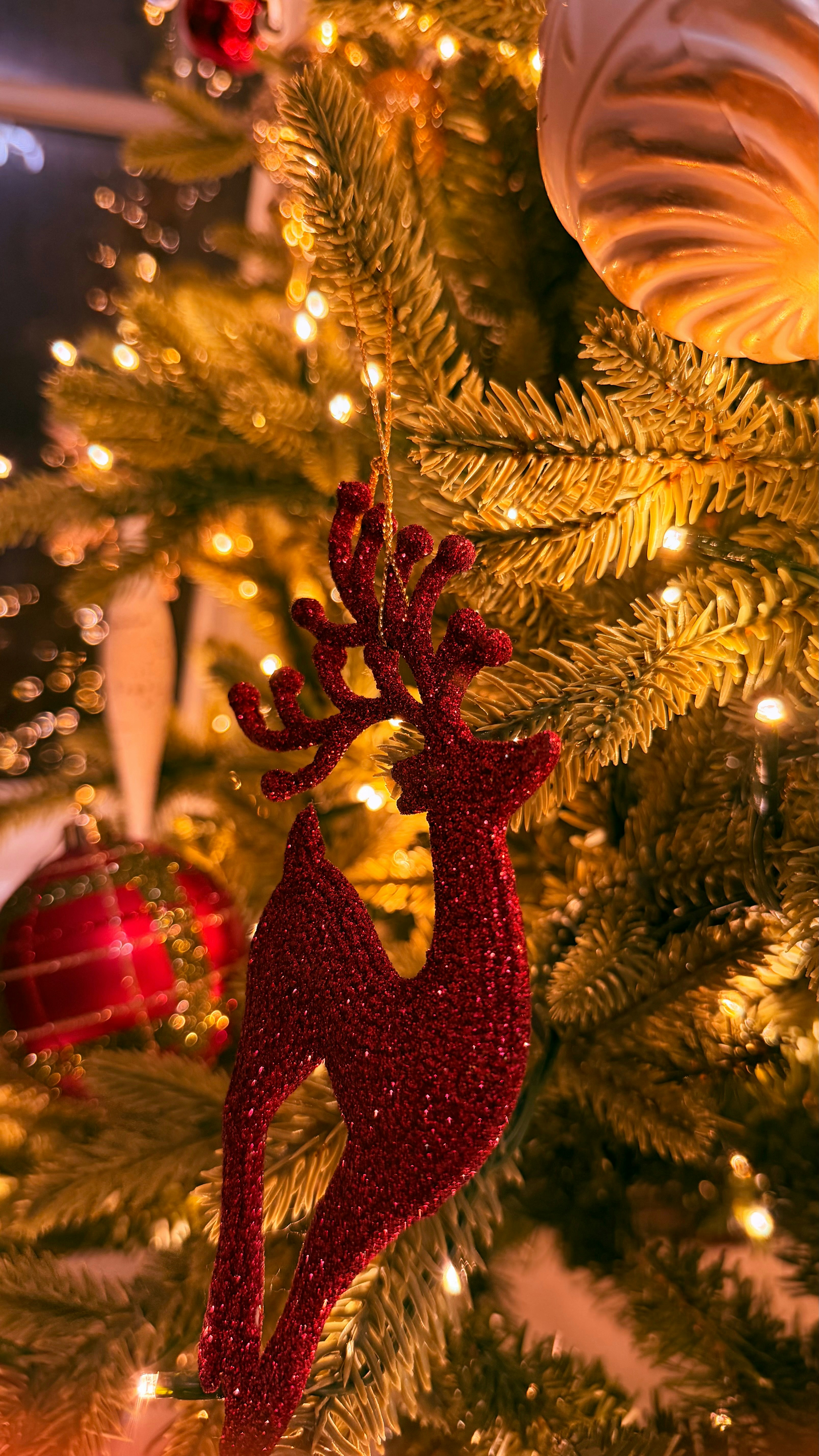 Photo by the_n_stagram