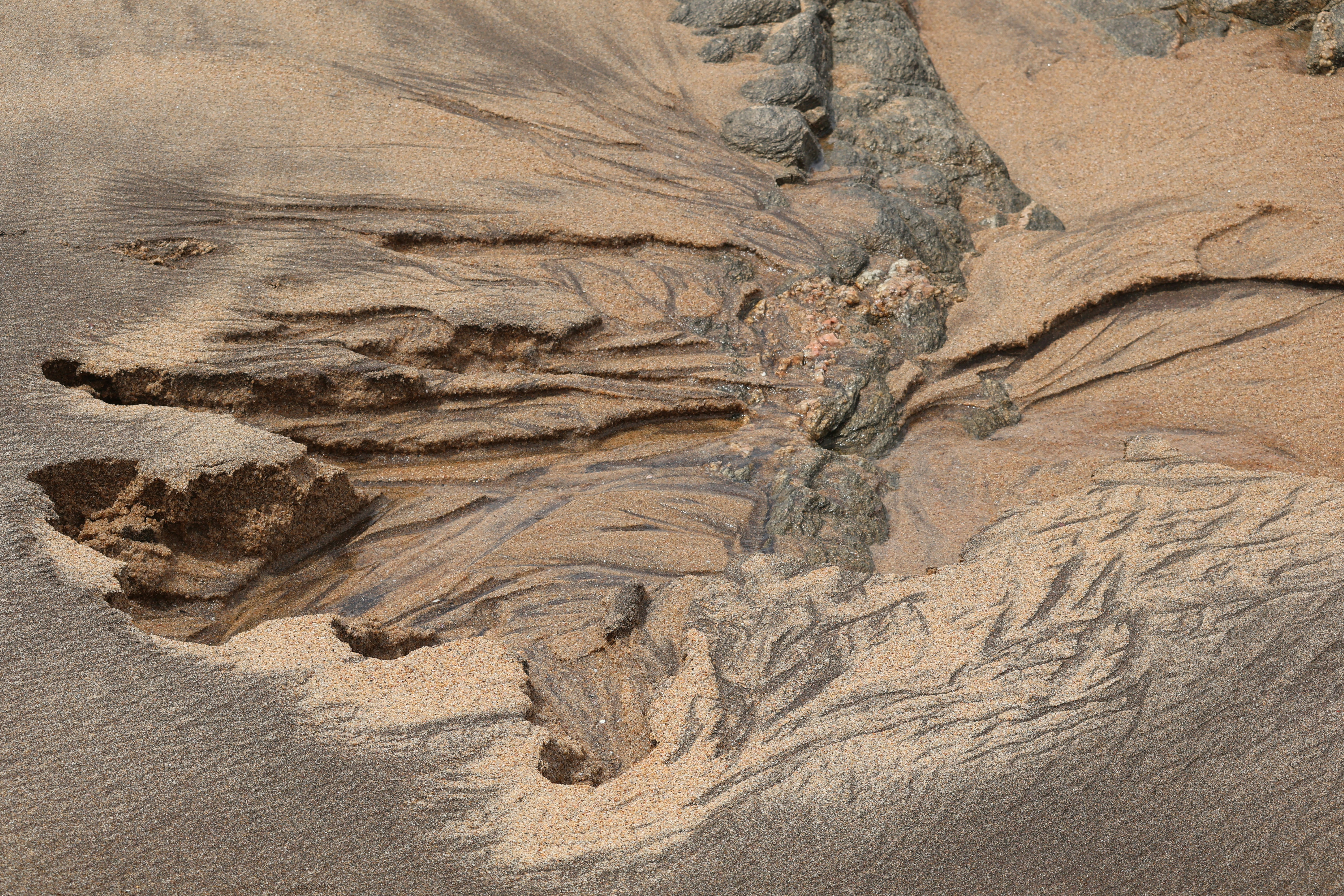 Perseverance Presses On: Mars Rover’s Science Mission Continues Despite Sample Return Doubts