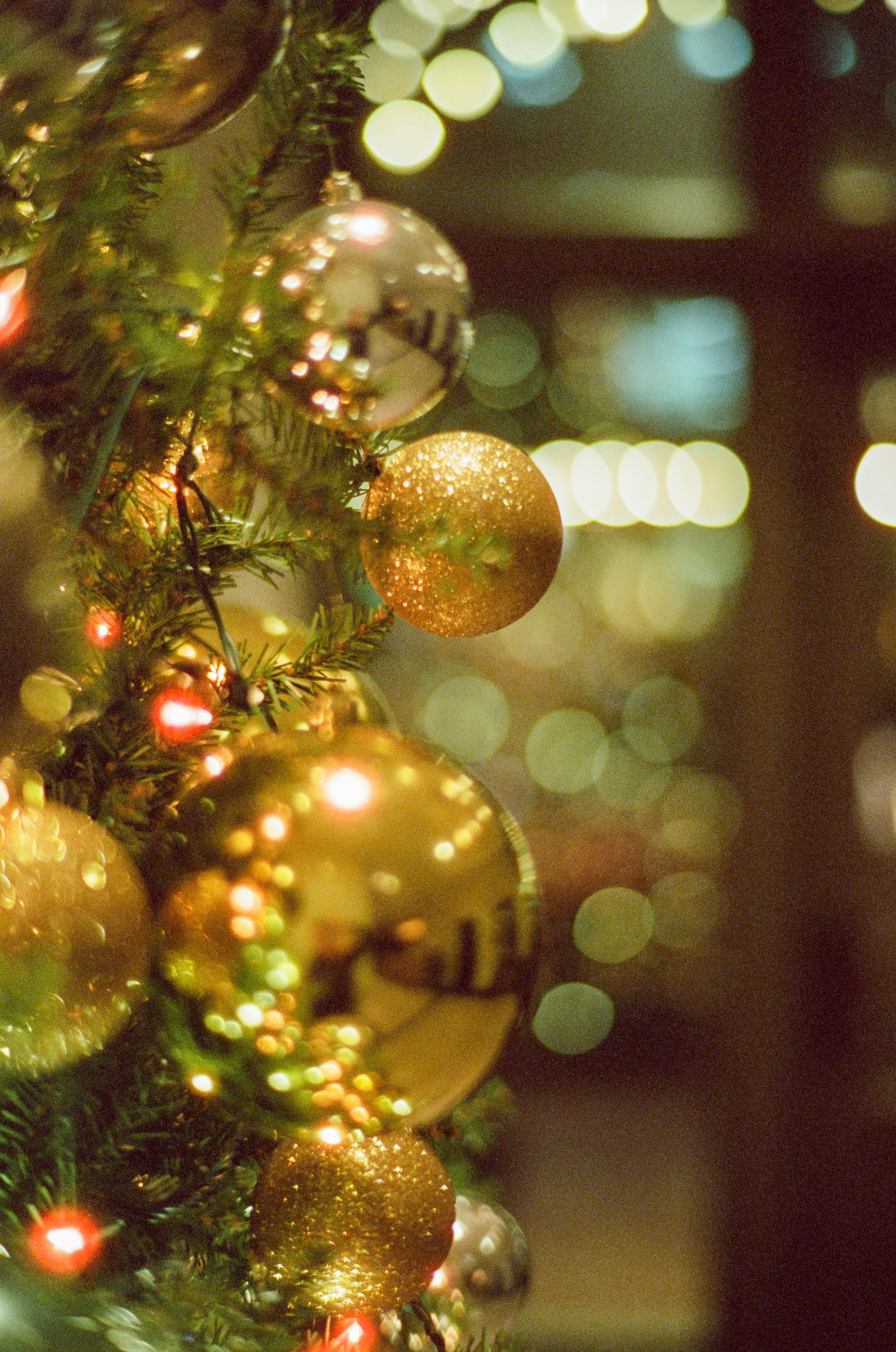 Golden christmas ornaments on a decorated tree.