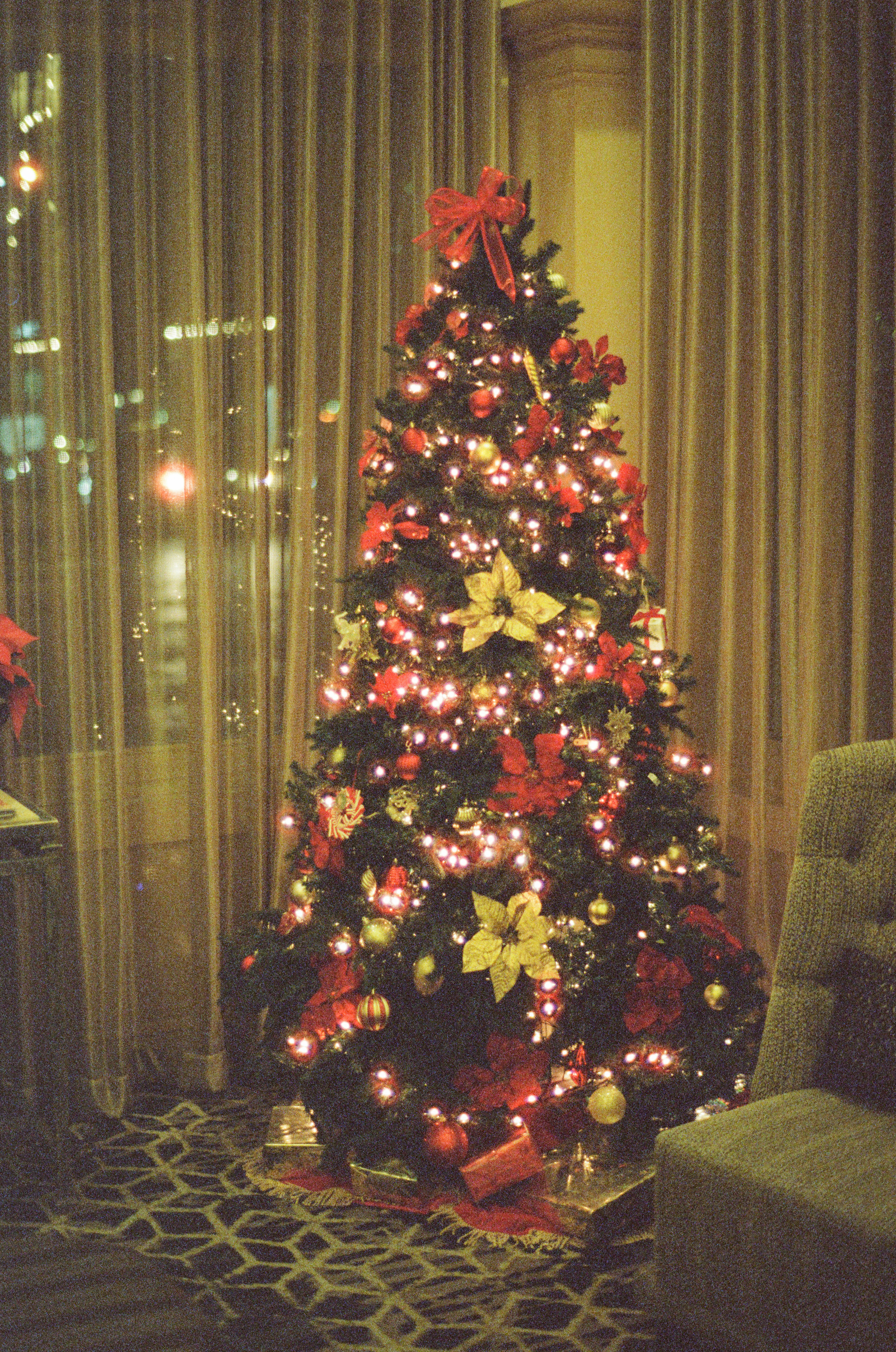 A Christmas tree decorated with red bows, gold poinsettias, and white lights stands in the lobby of the Ashton Hotel in downtown Fort Worth.