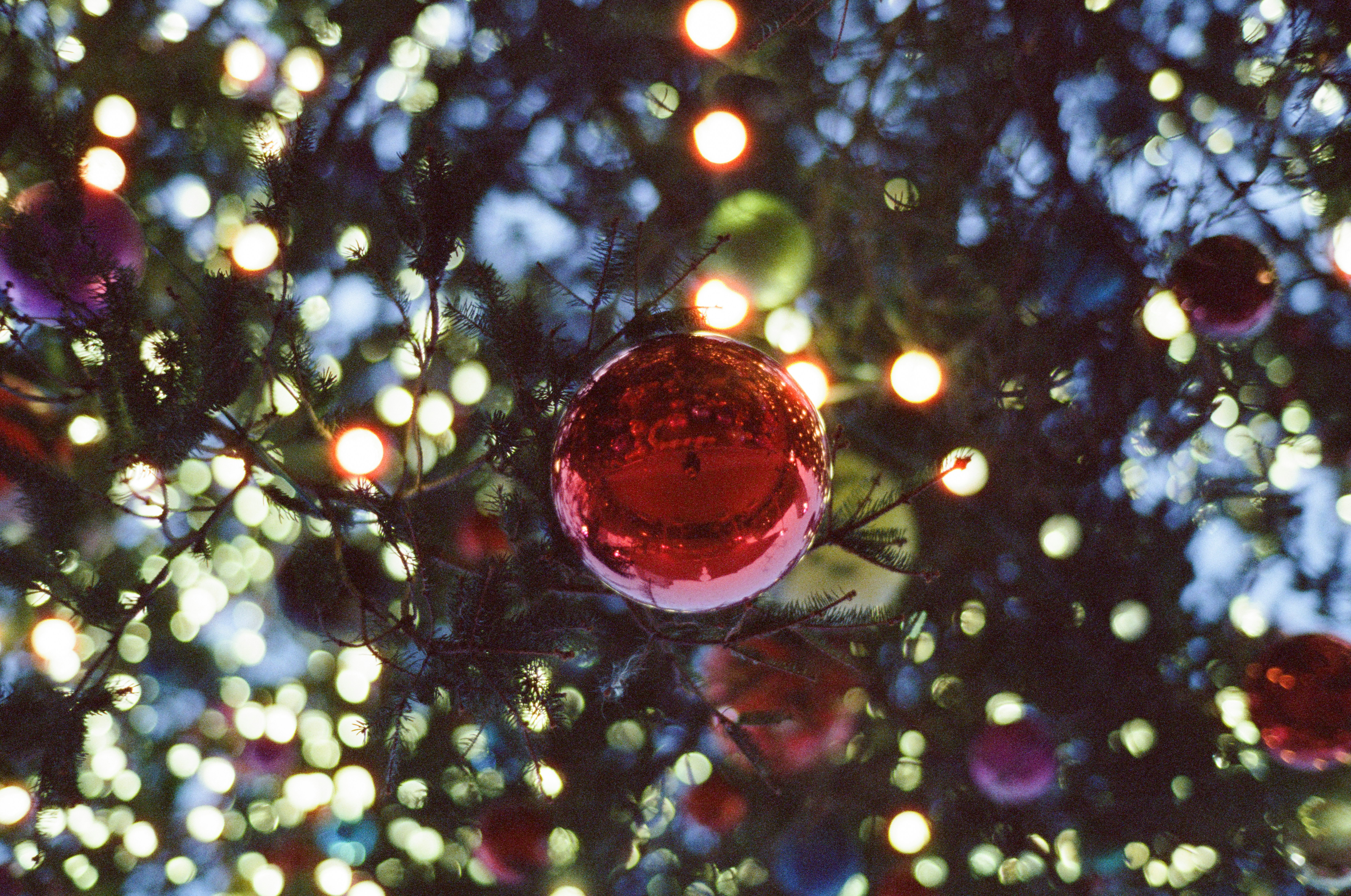 Red bauble on a christmas tree with lights