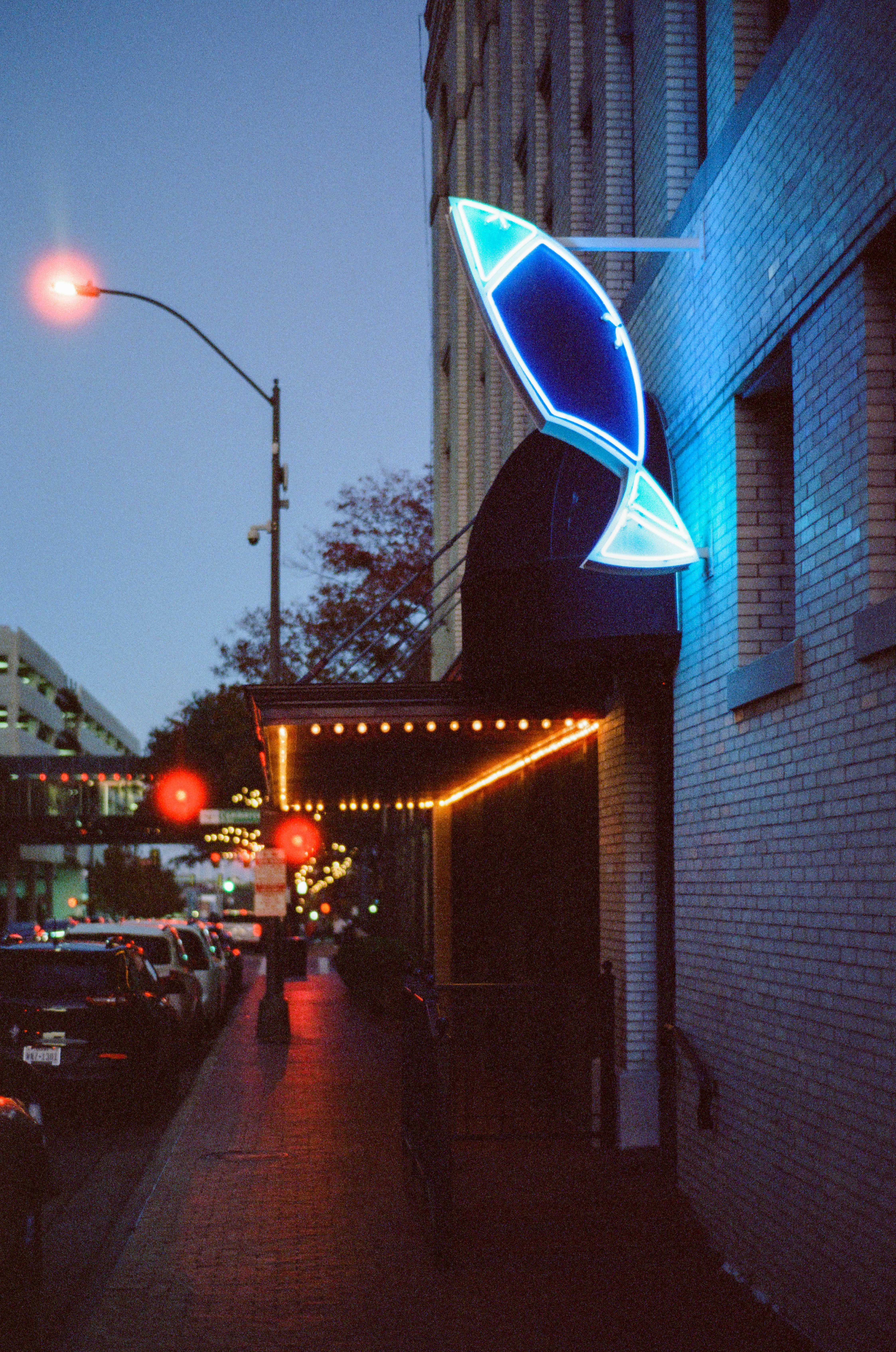 Neon fish sign above a building entrance at dusk