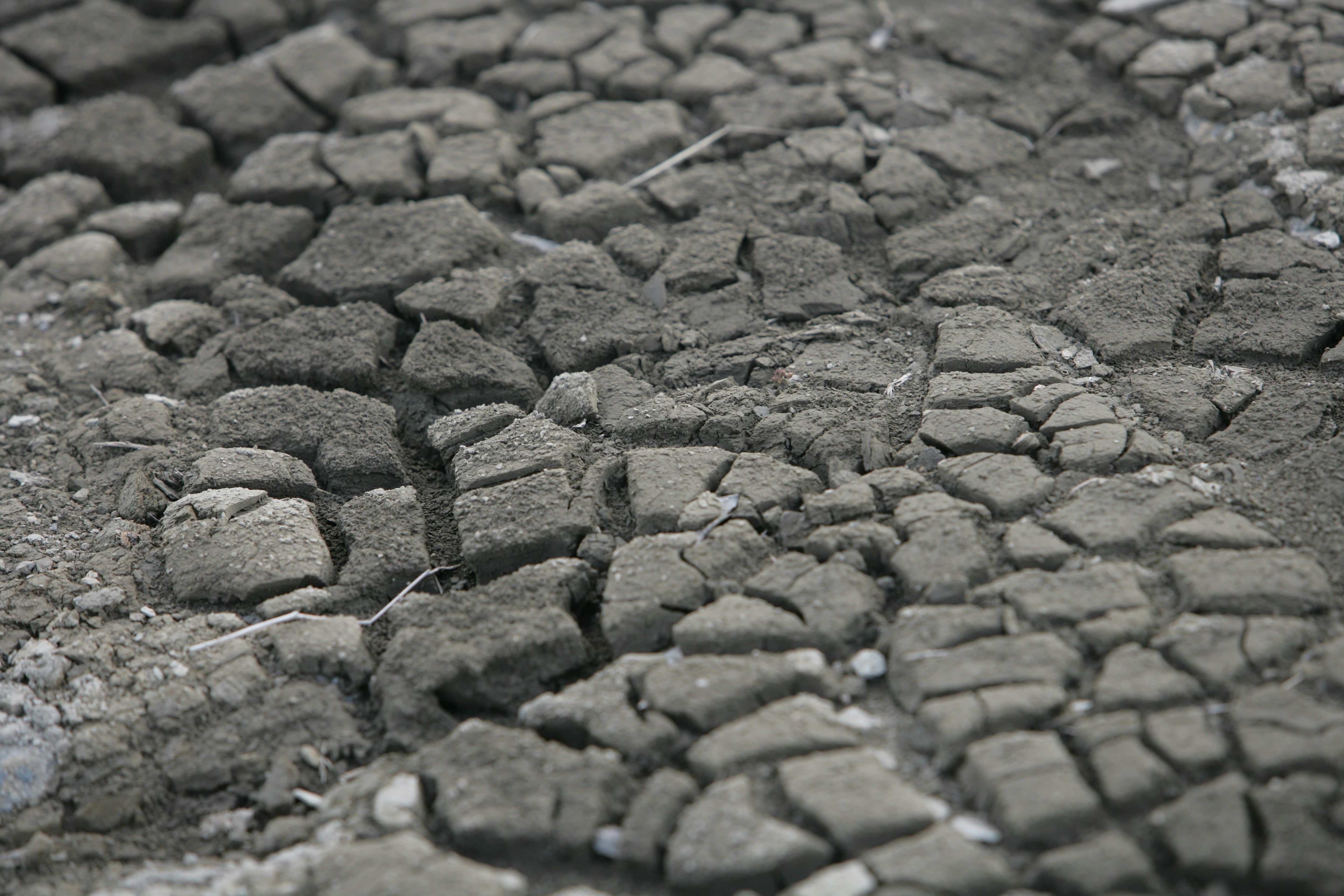 Photo by project9513