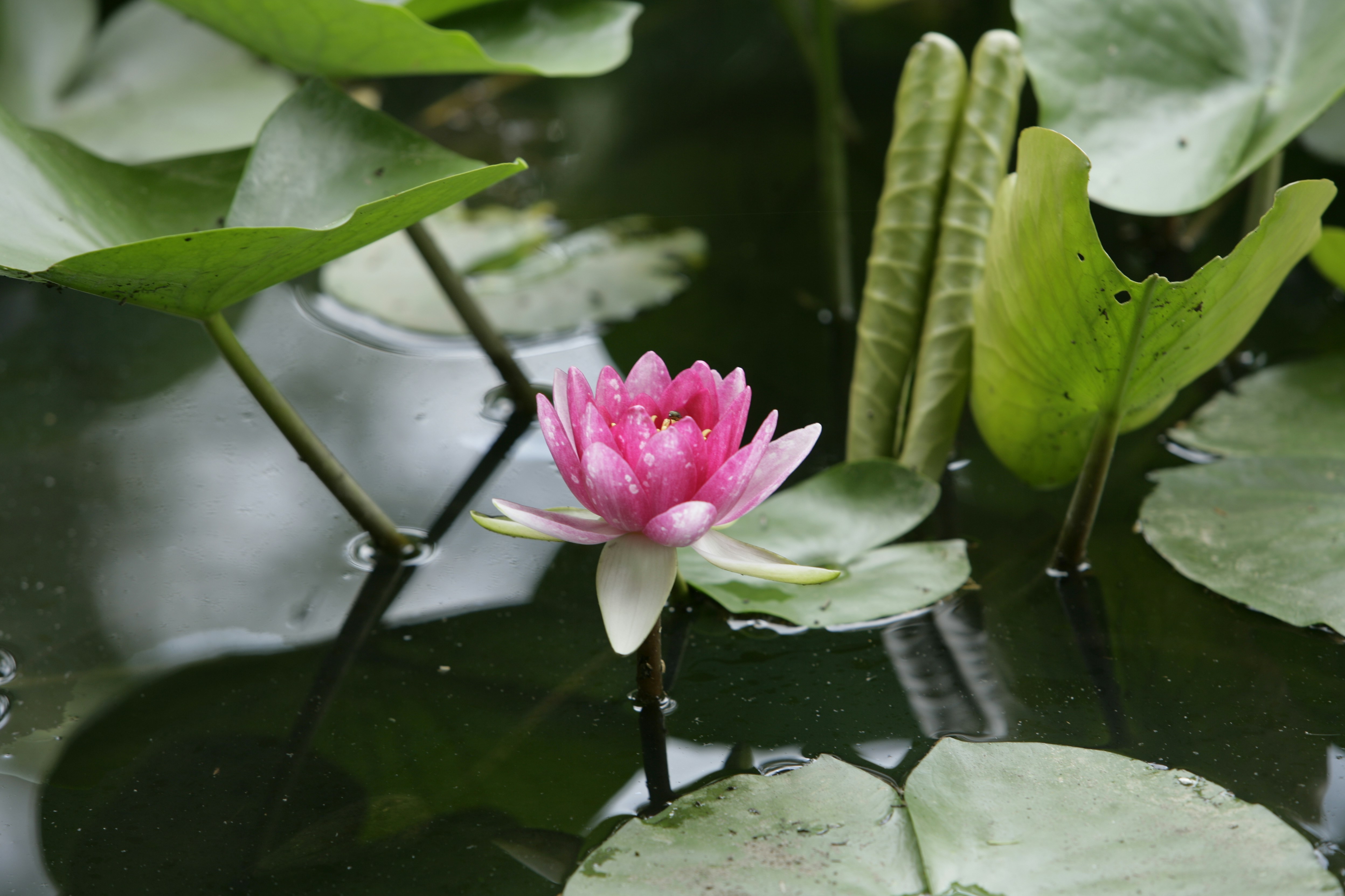 Photo by project9513