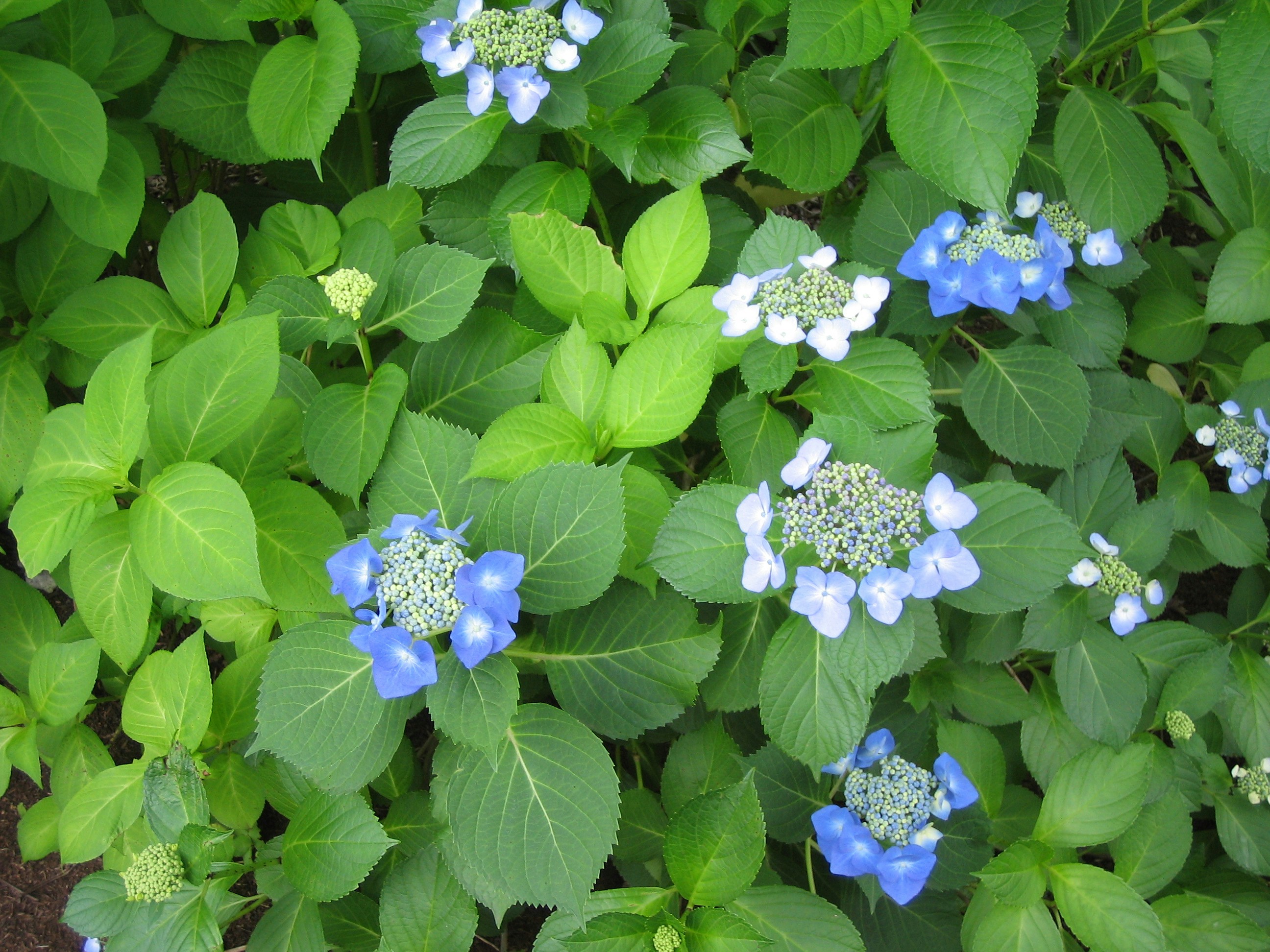 Photo by project9513