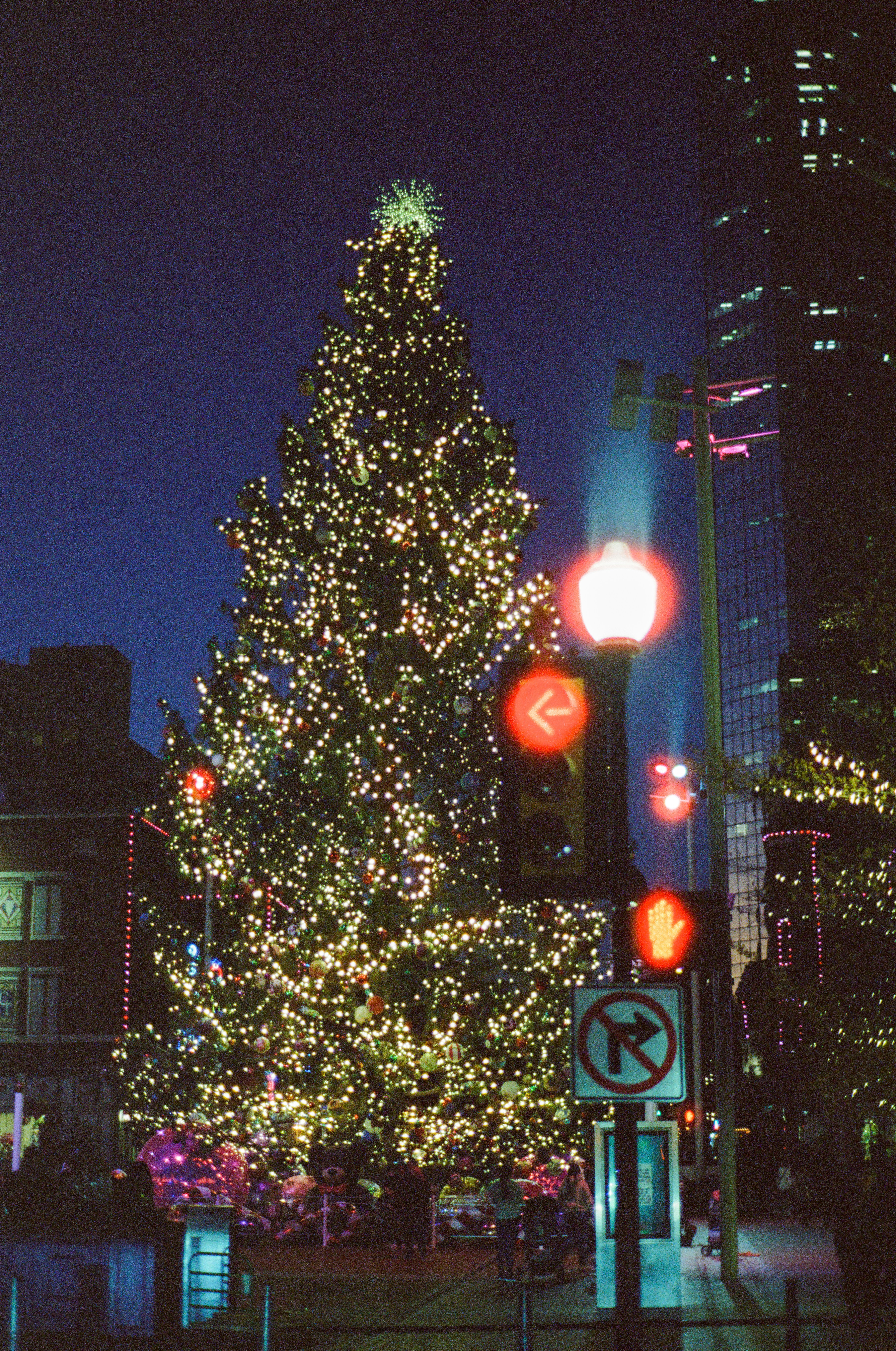 Large decorated christmas tree at night with city lights