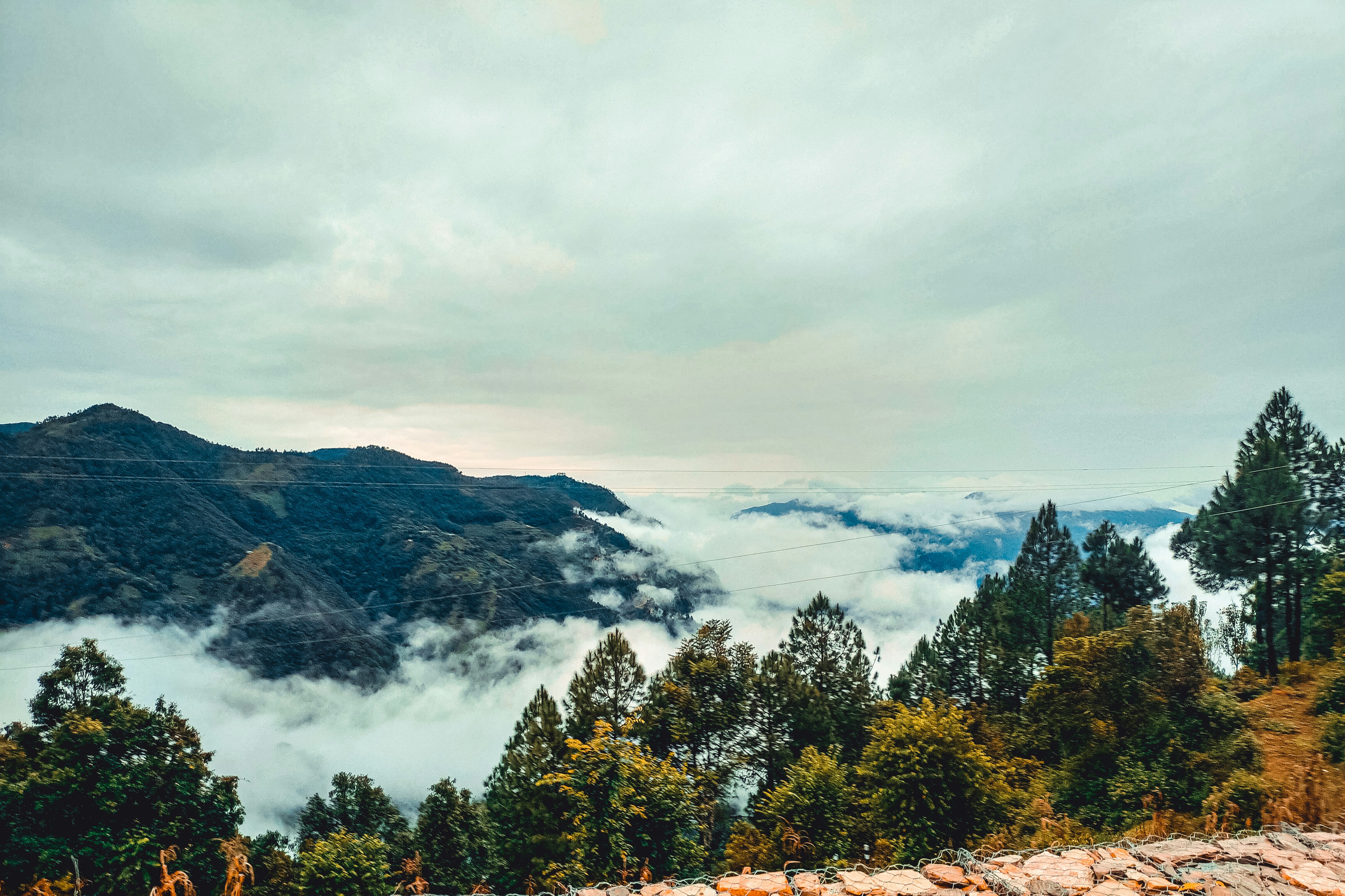 Photo by therohitmahar