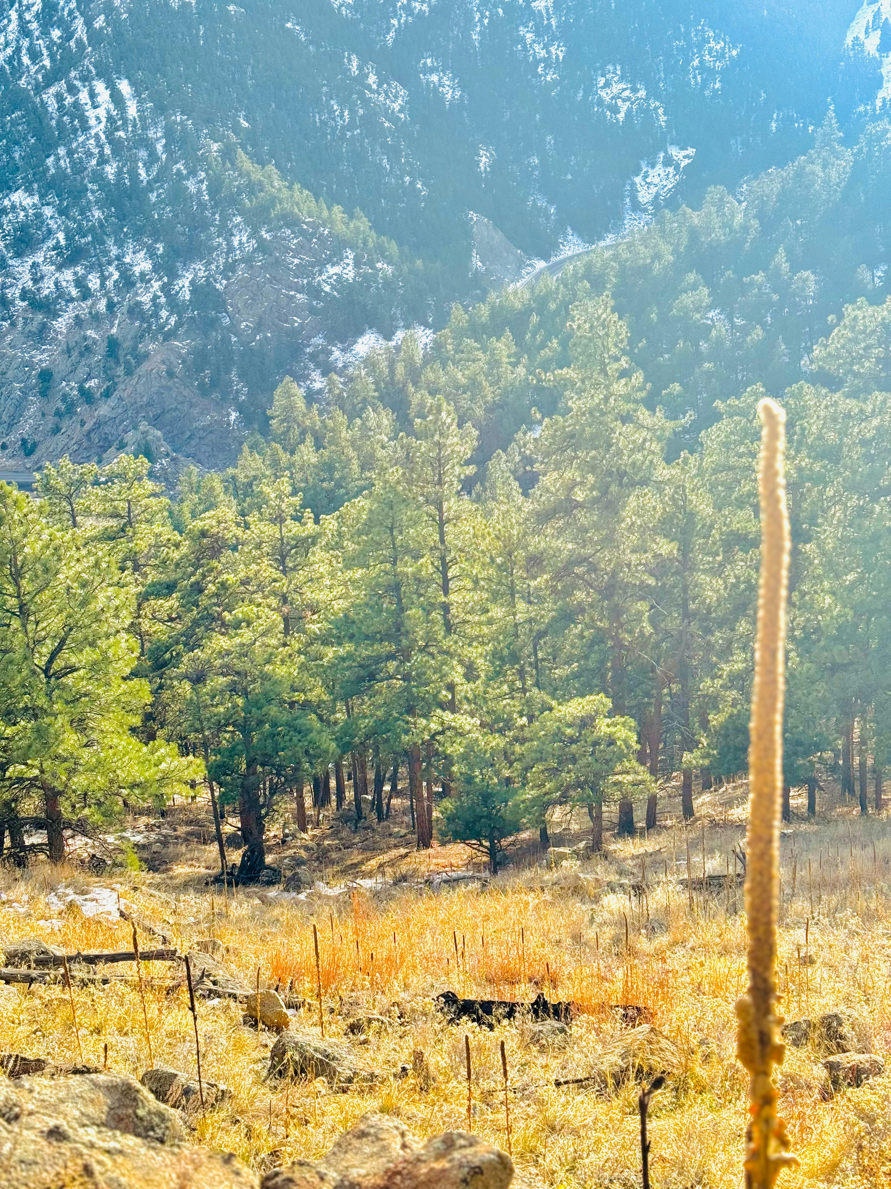 Photo by christheisland