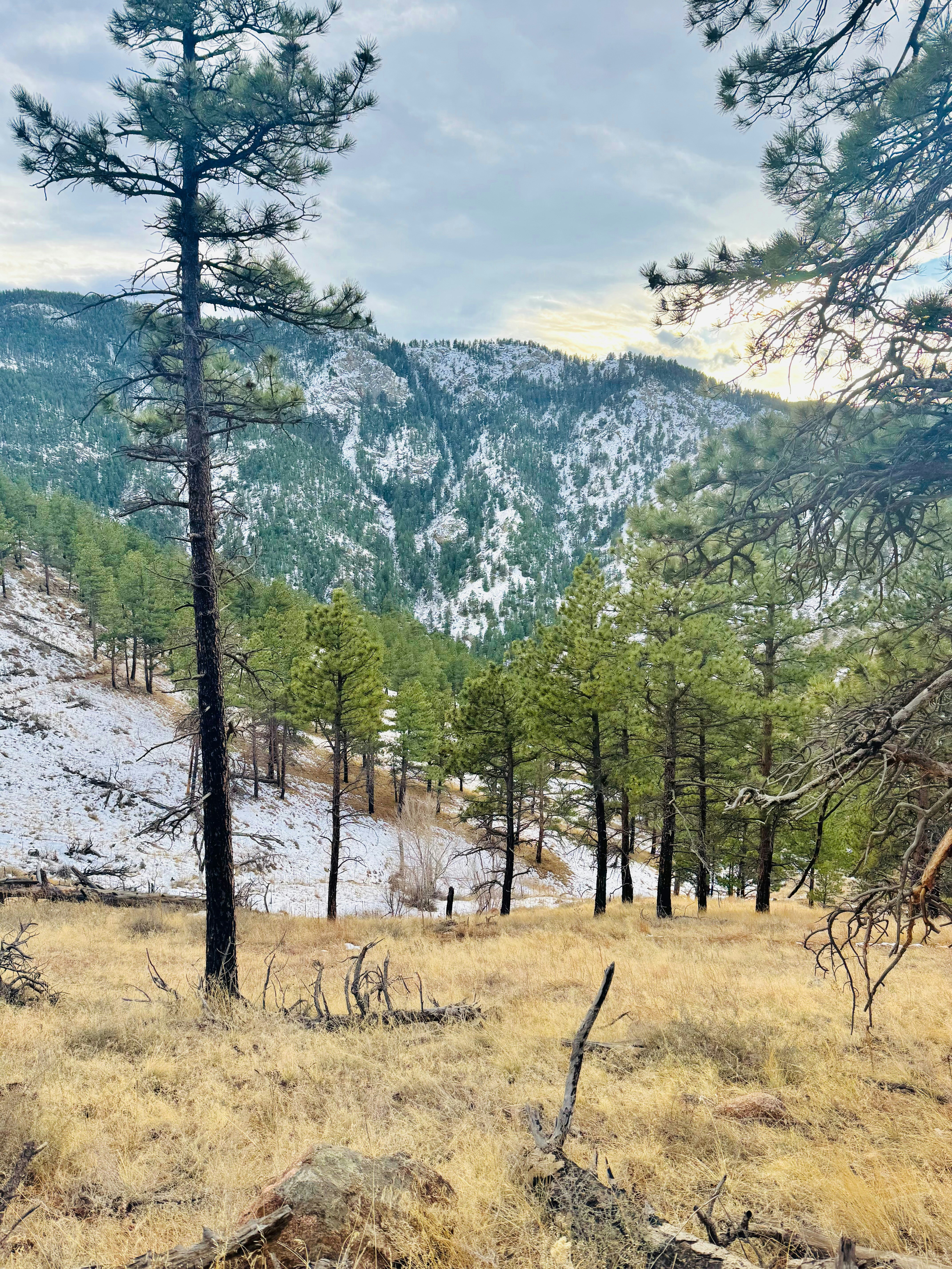 Photo by christheisland