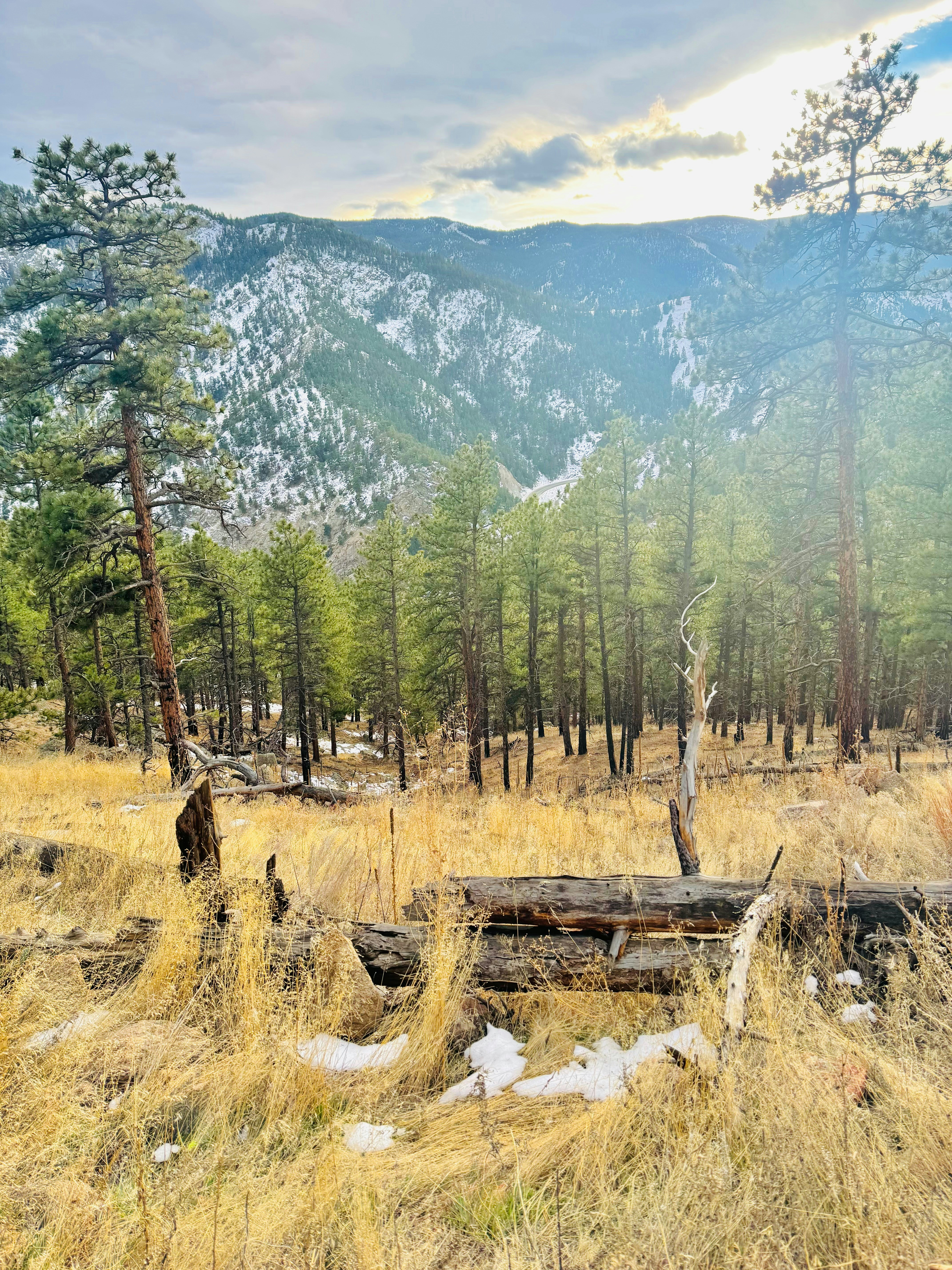 Photo by christheisland