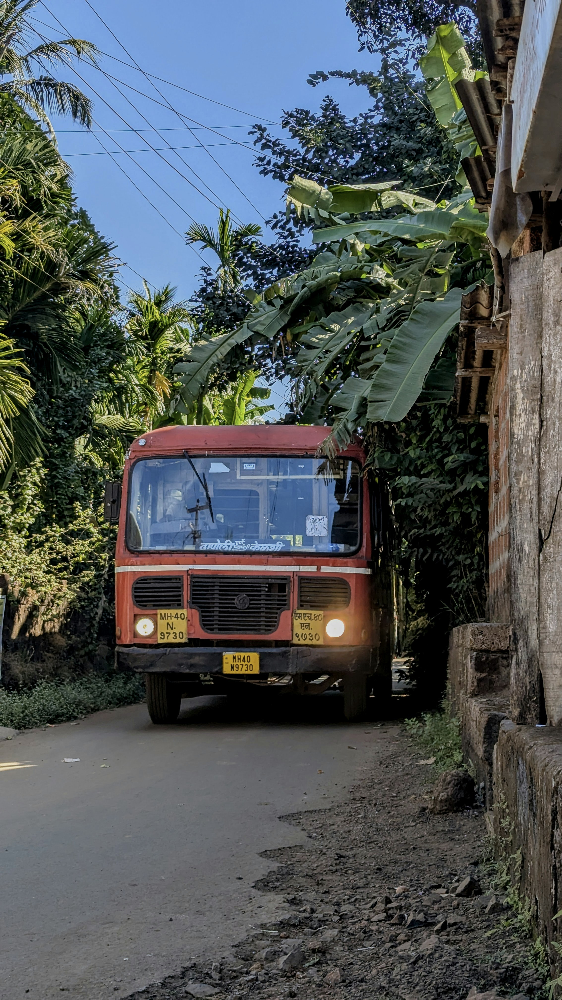 Autobús rojo circulando por una calle estrecha rodeada de árboles.