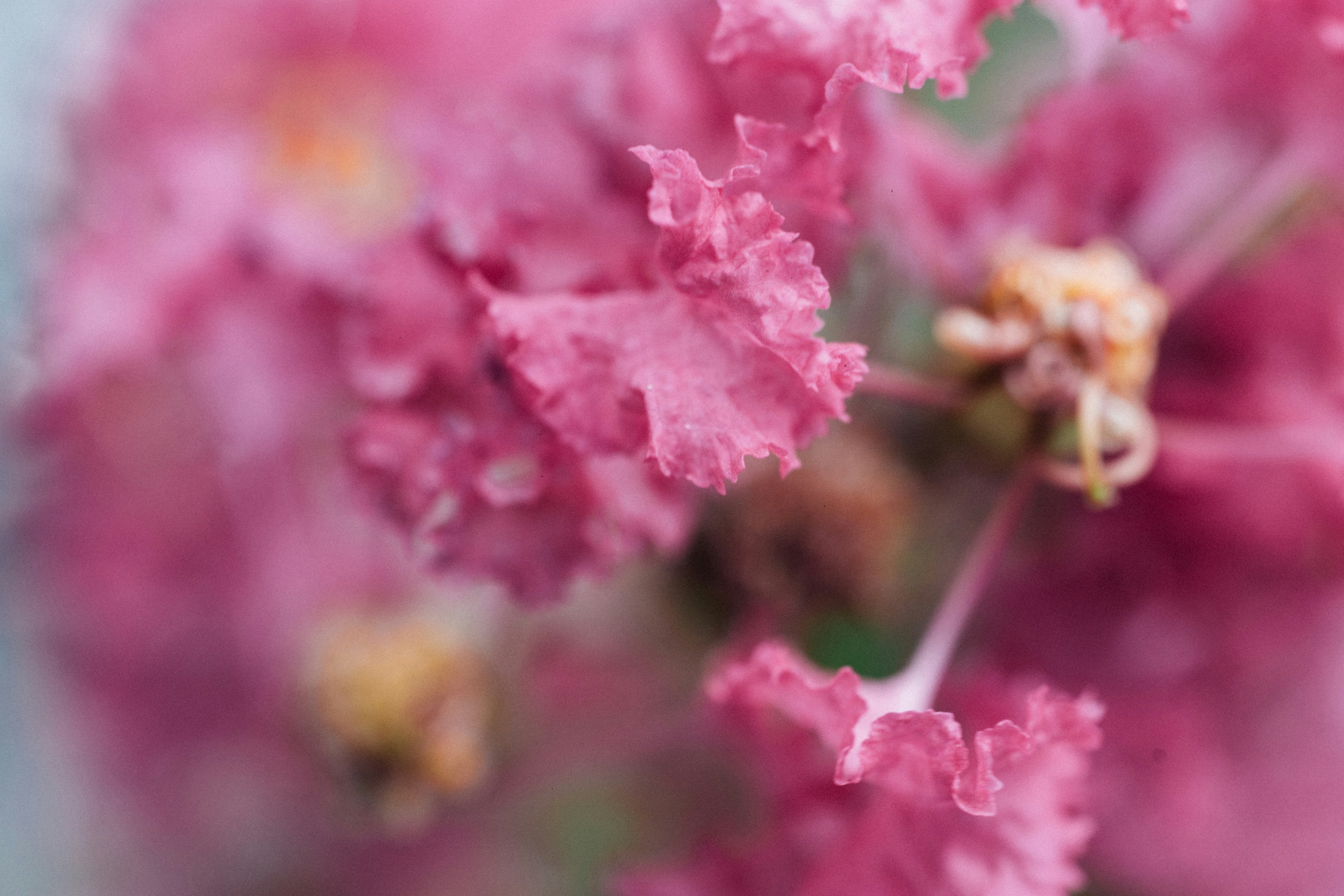 Photo by tsuyoshikozu