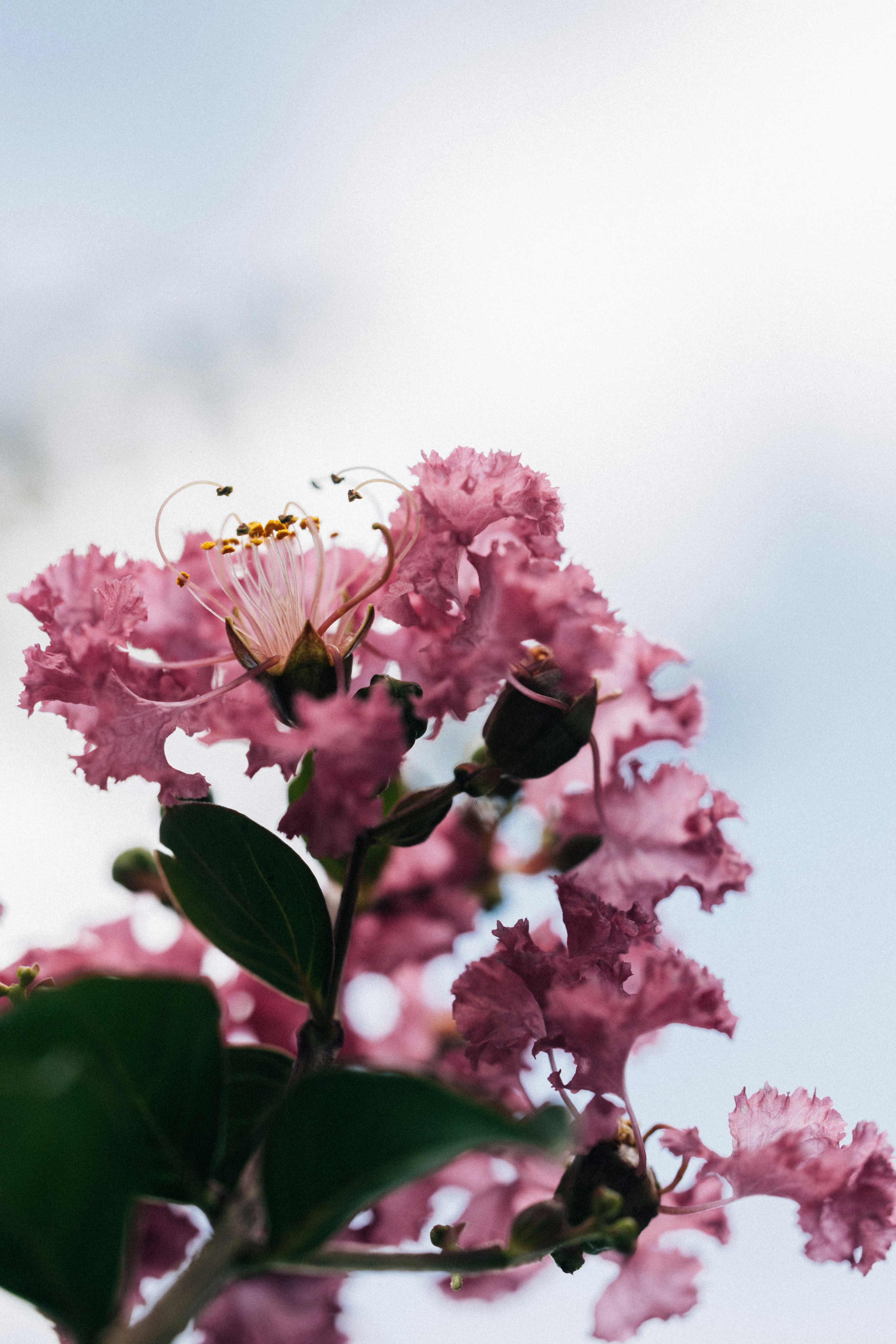 Photo by tsuyoshikozu