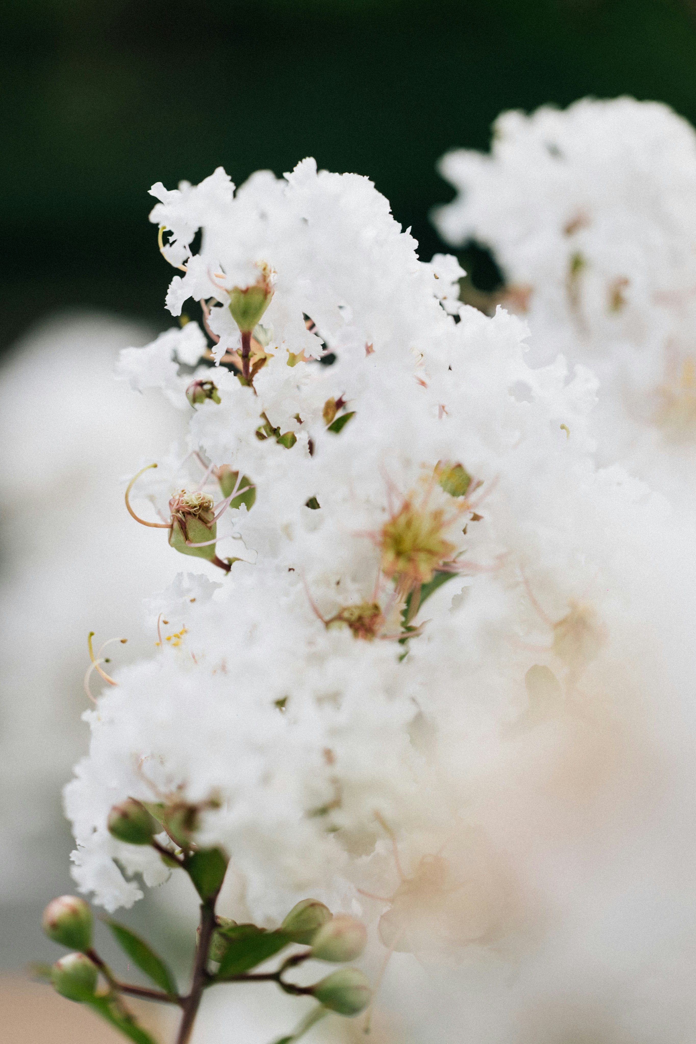 Photo by tsuyoshikozu