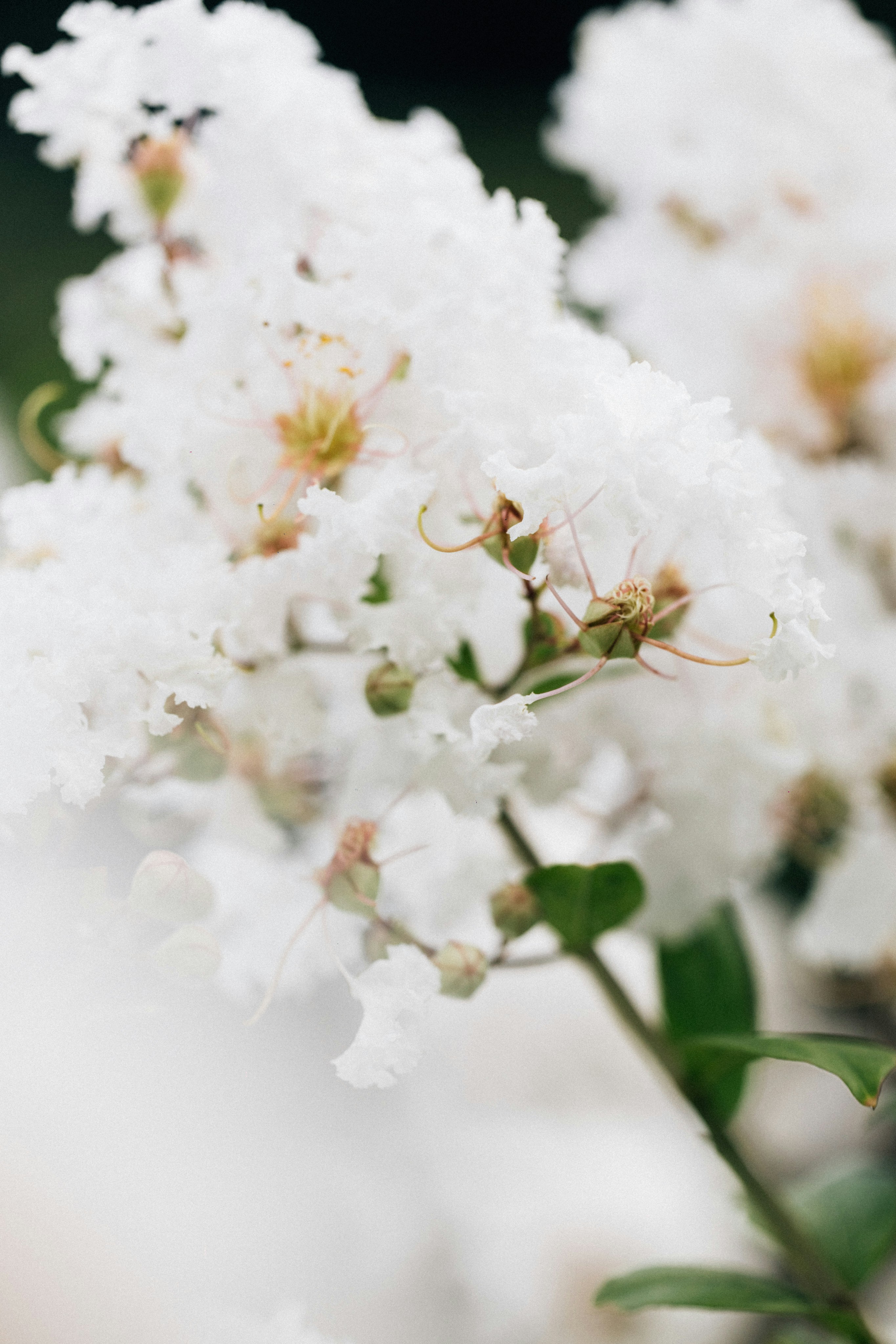 Photo by tsuyoshikozu