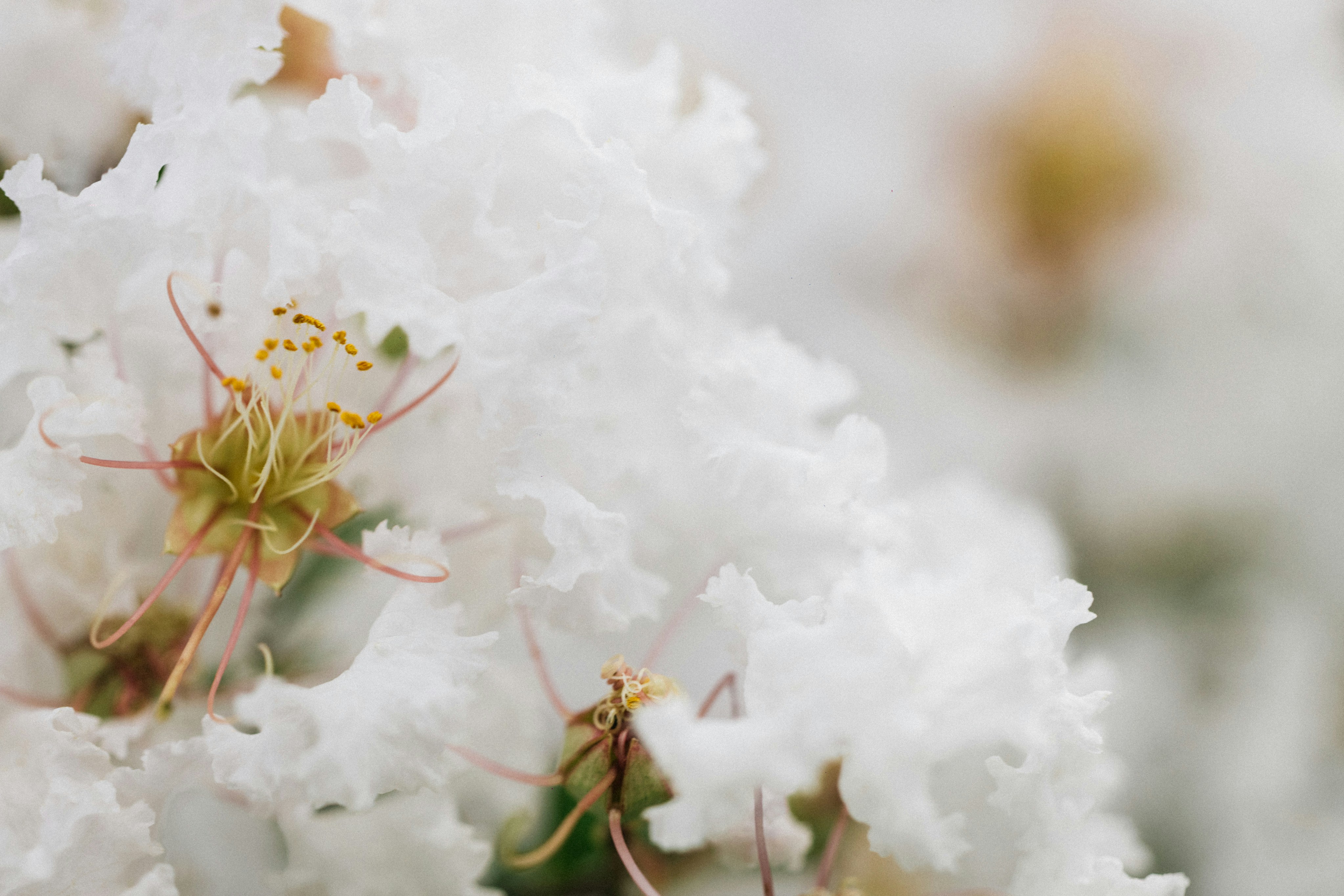 Photo by tsuyoshikozu