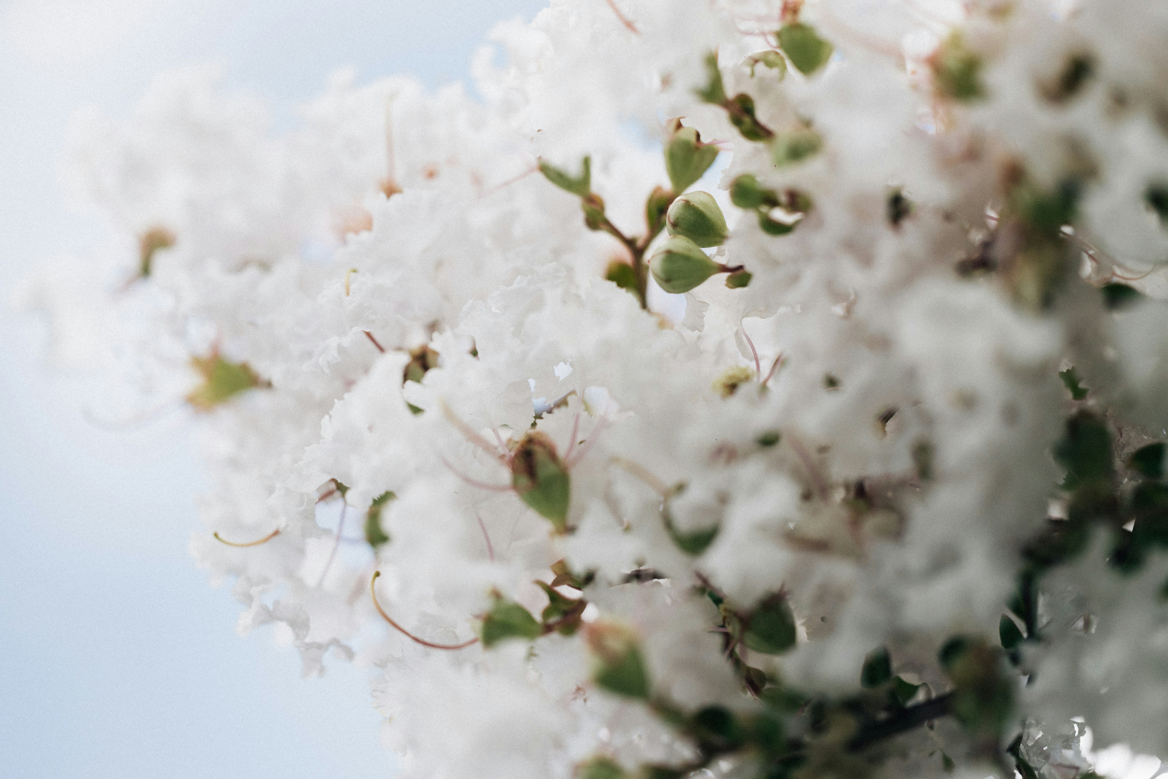 Photo by tsuyoshikozu