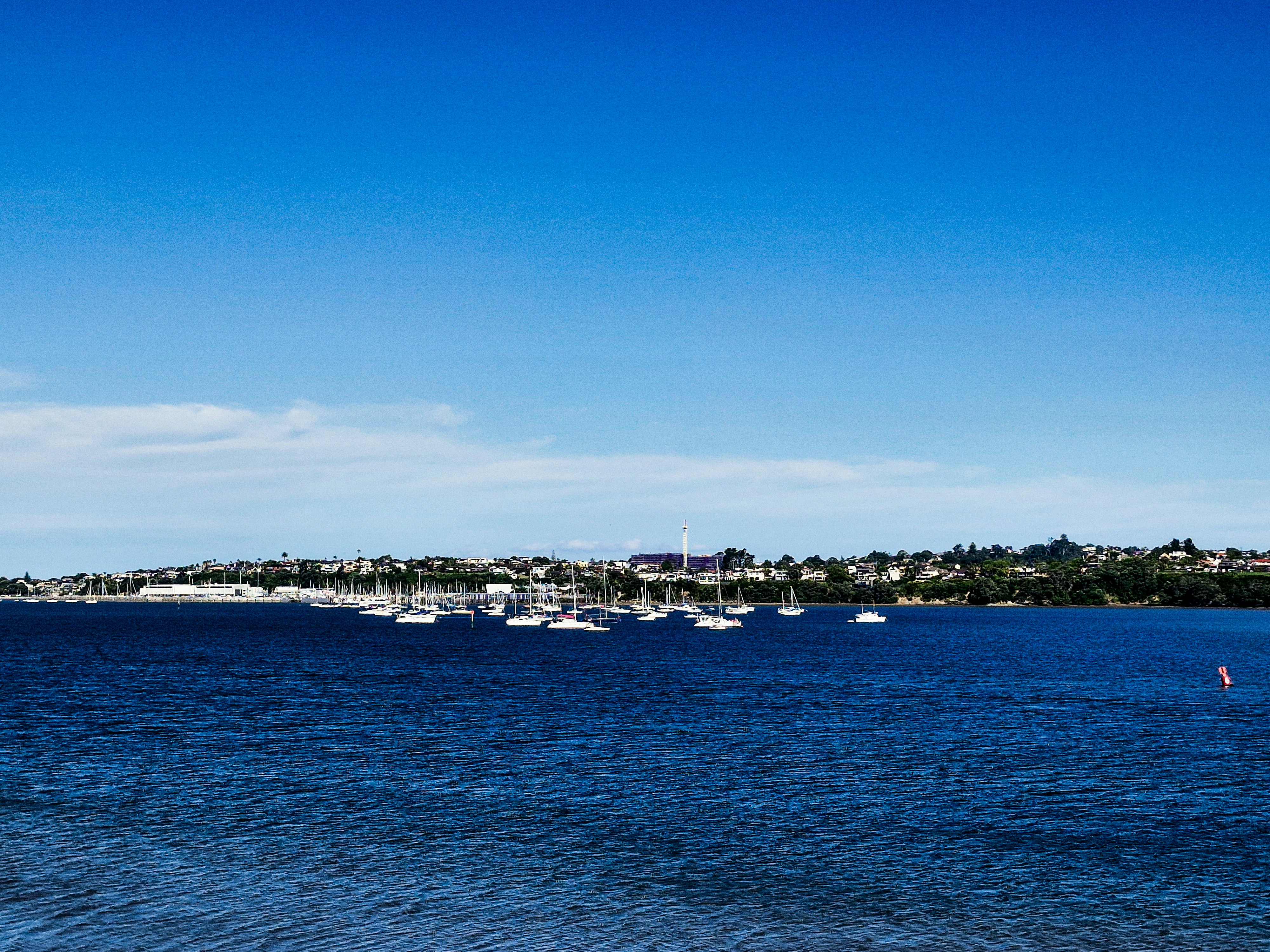 Sailboats docked in a harbor with a city skyline.