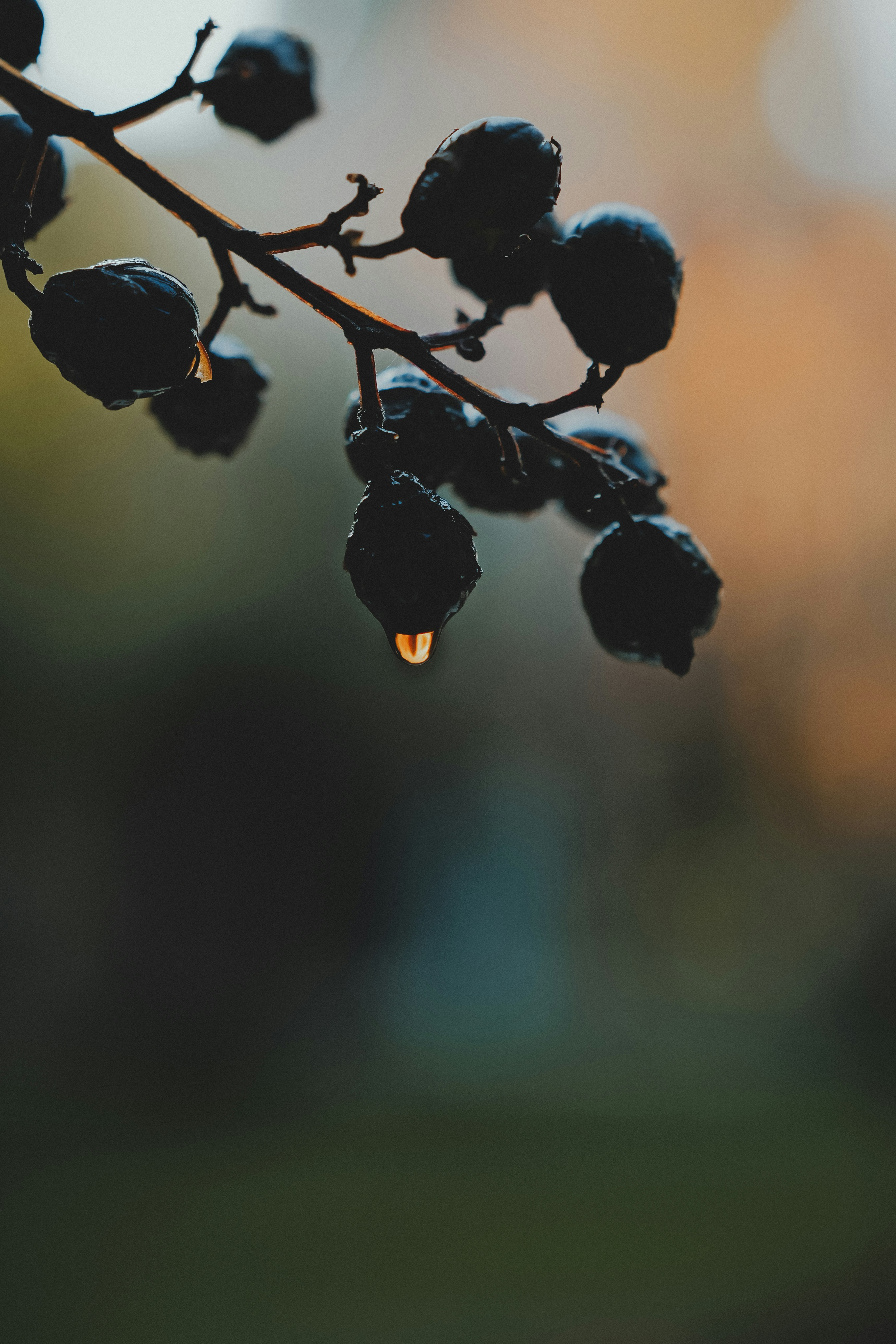 Photo by anyachernykh