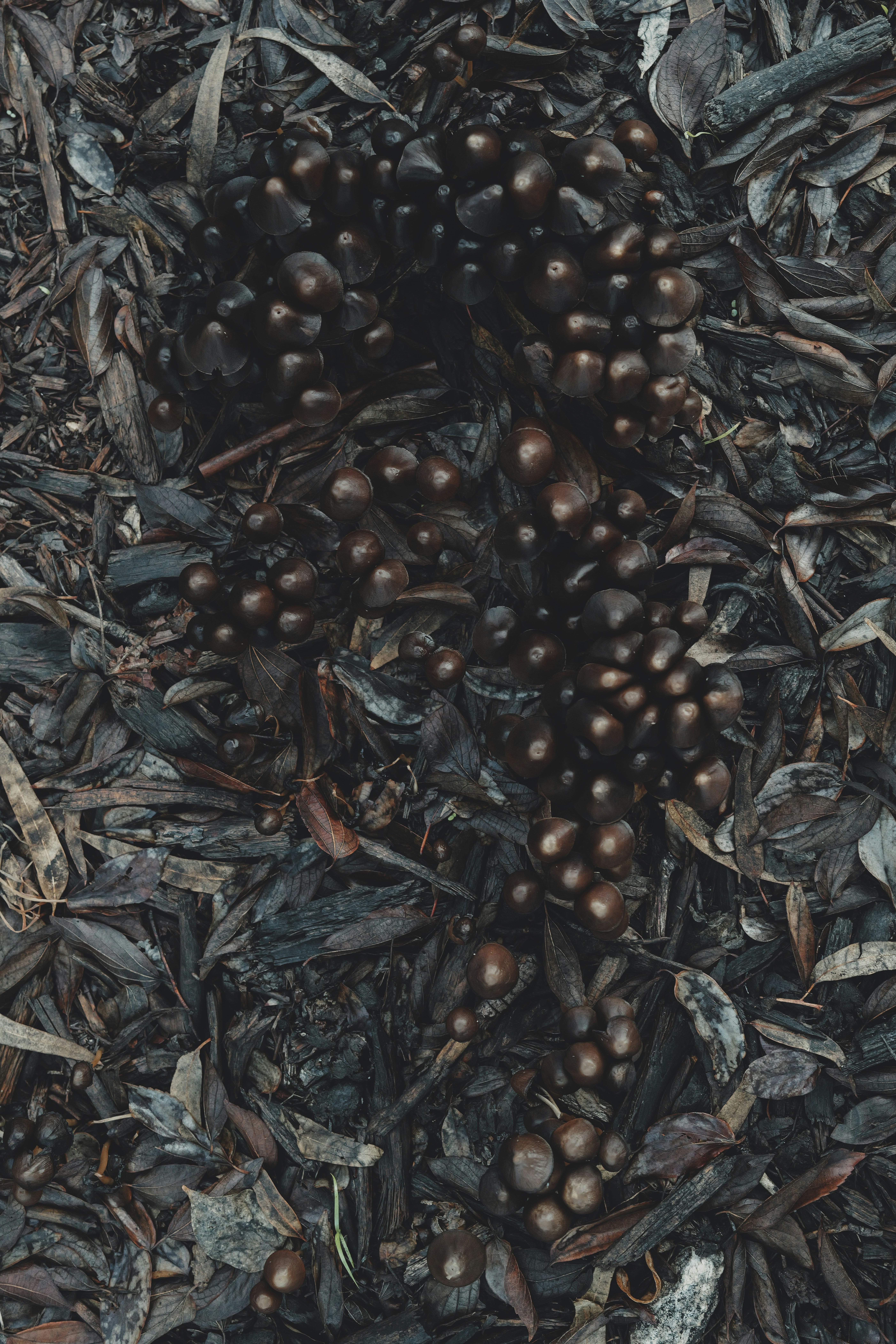 Photo by anyachernykh