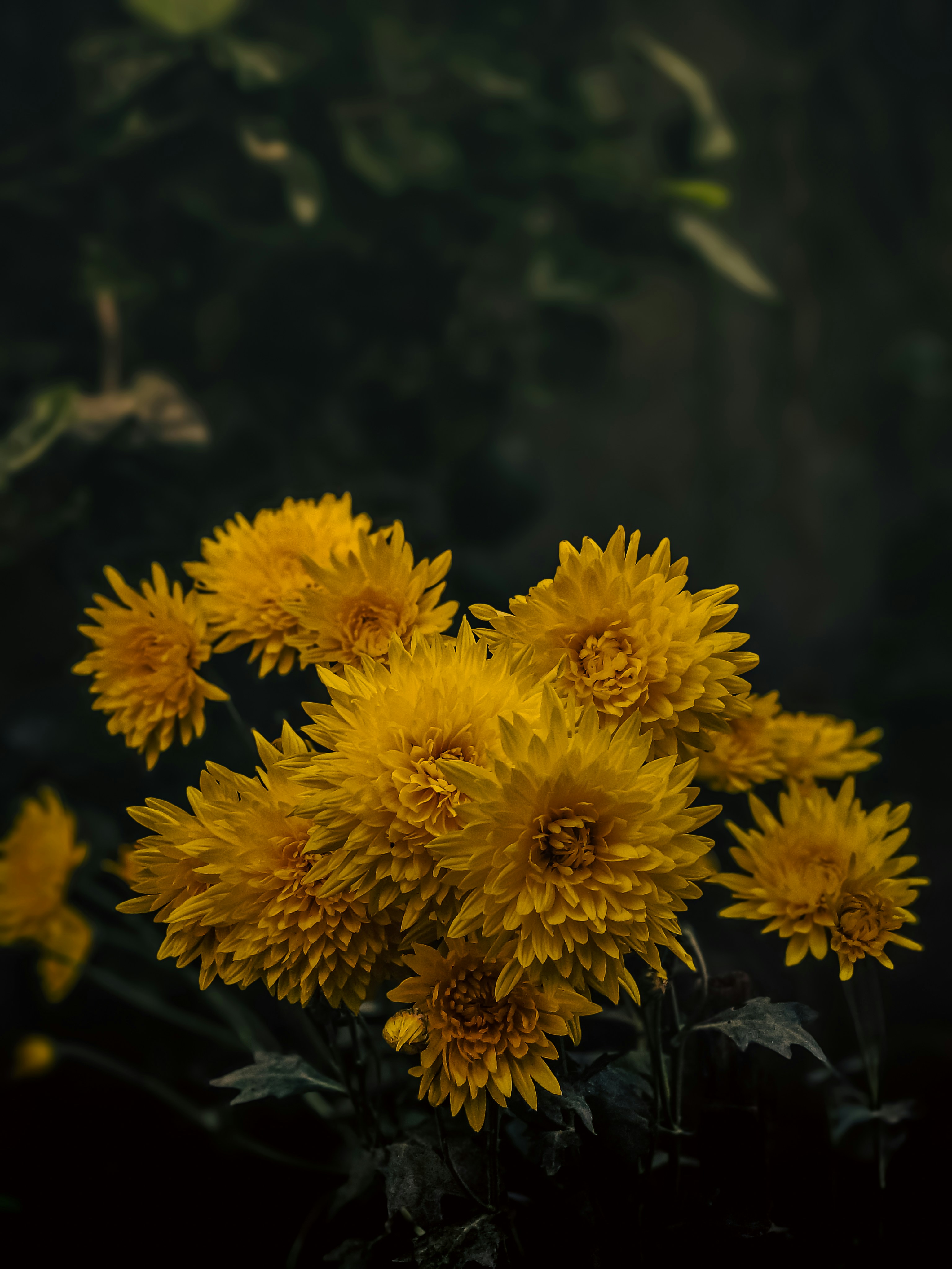 Photo by shadow024