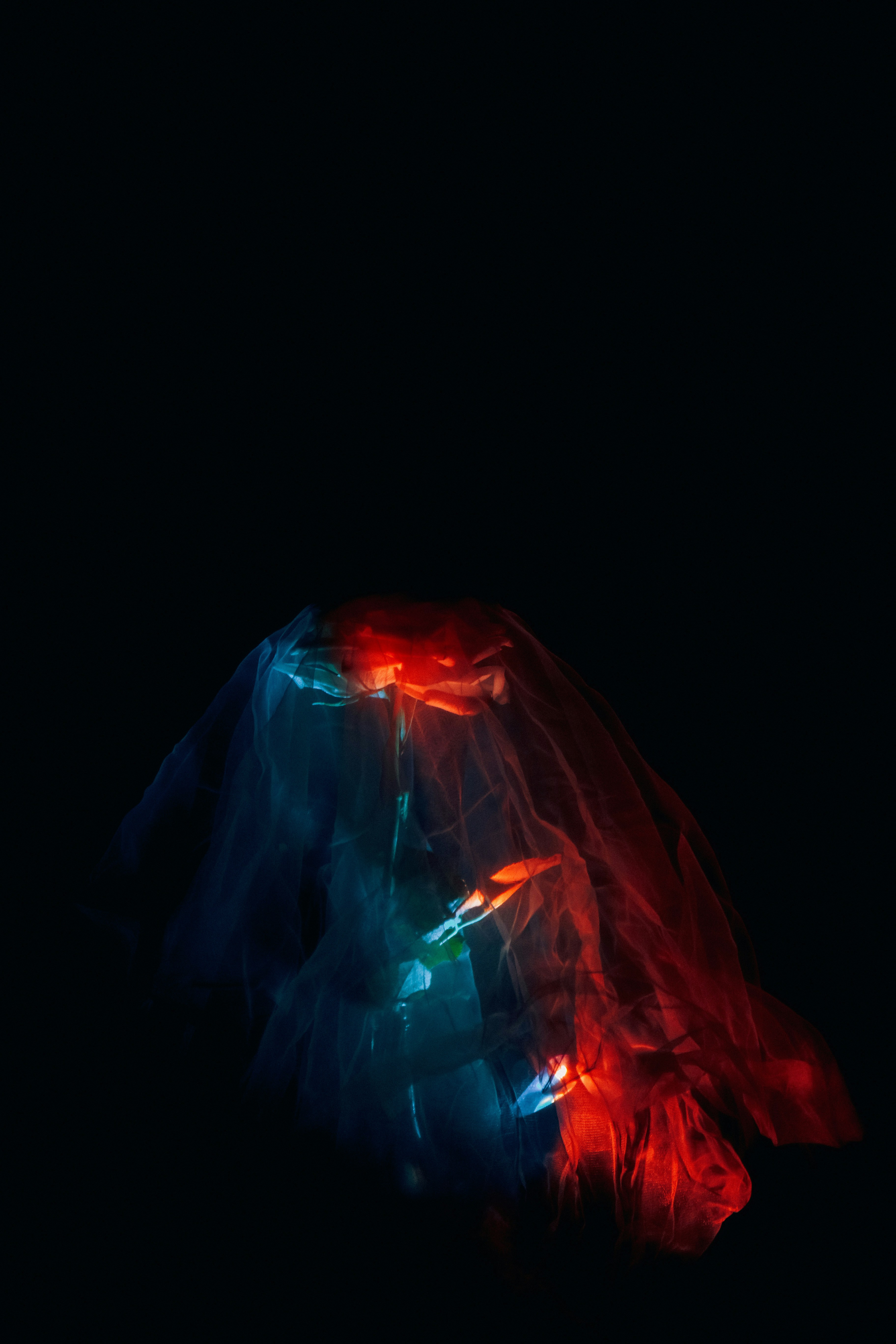 A red rose covered in sheer fabric with blue light.