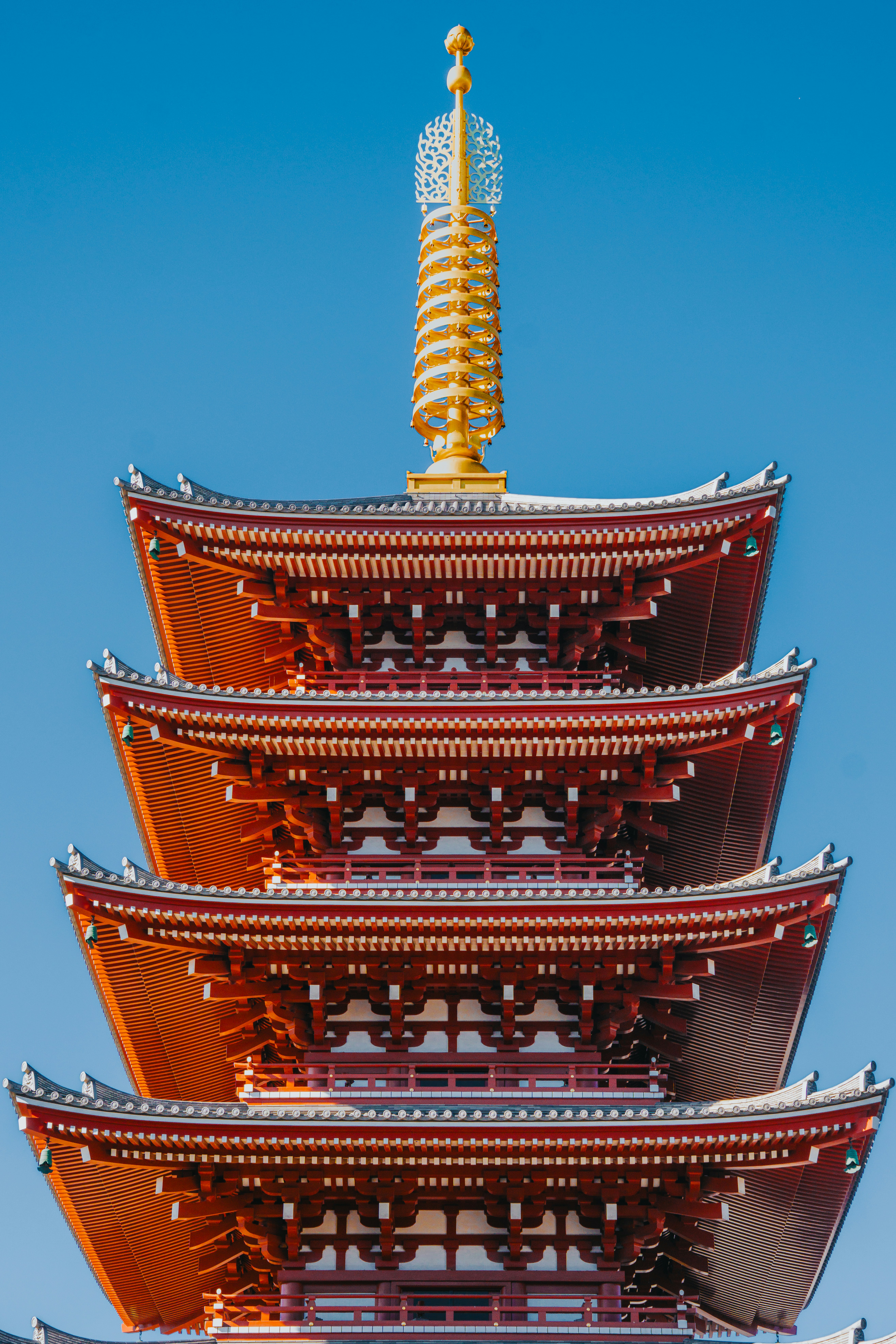 Photo by _joaquinarenas