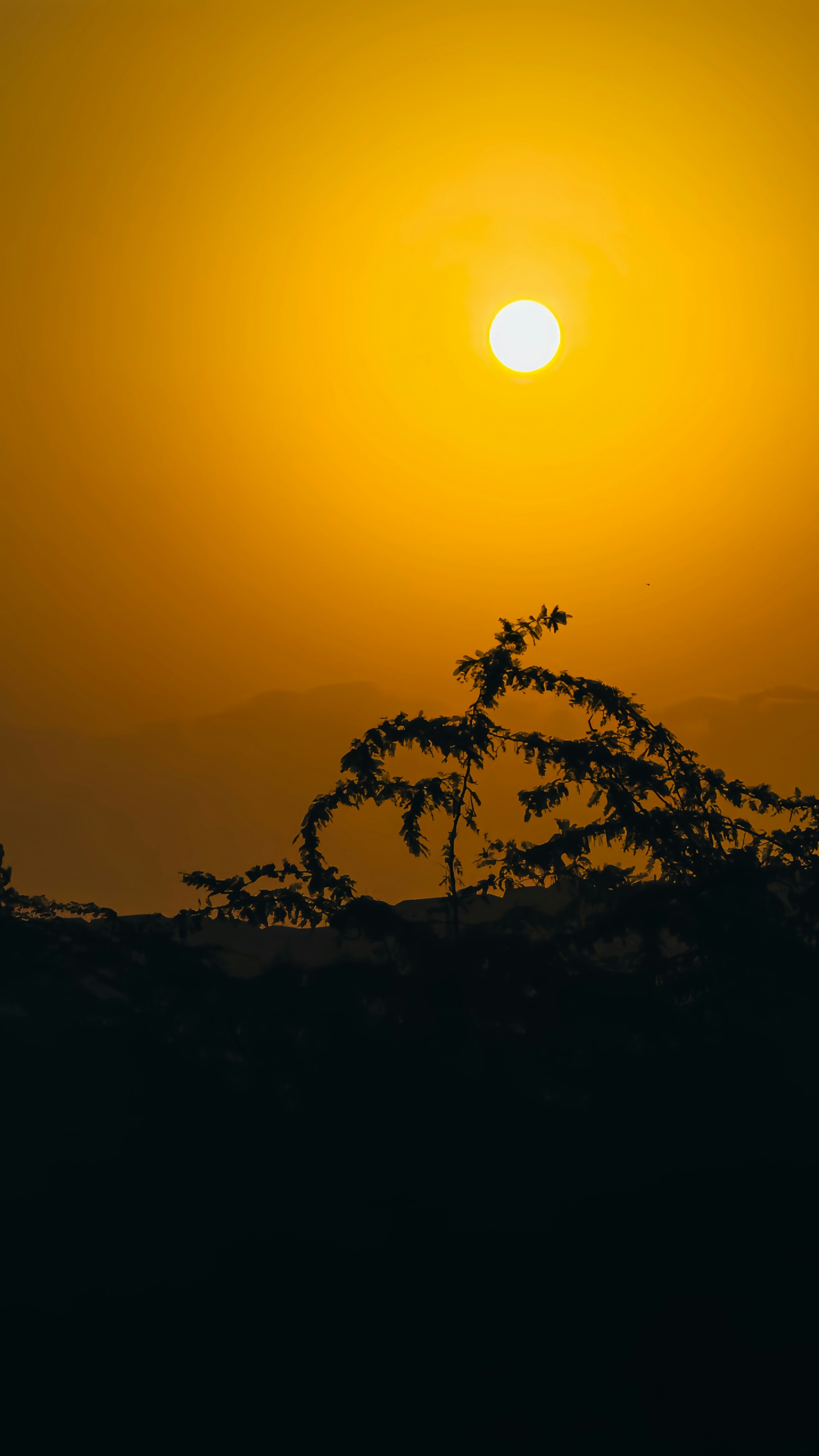 Photo by deenshots