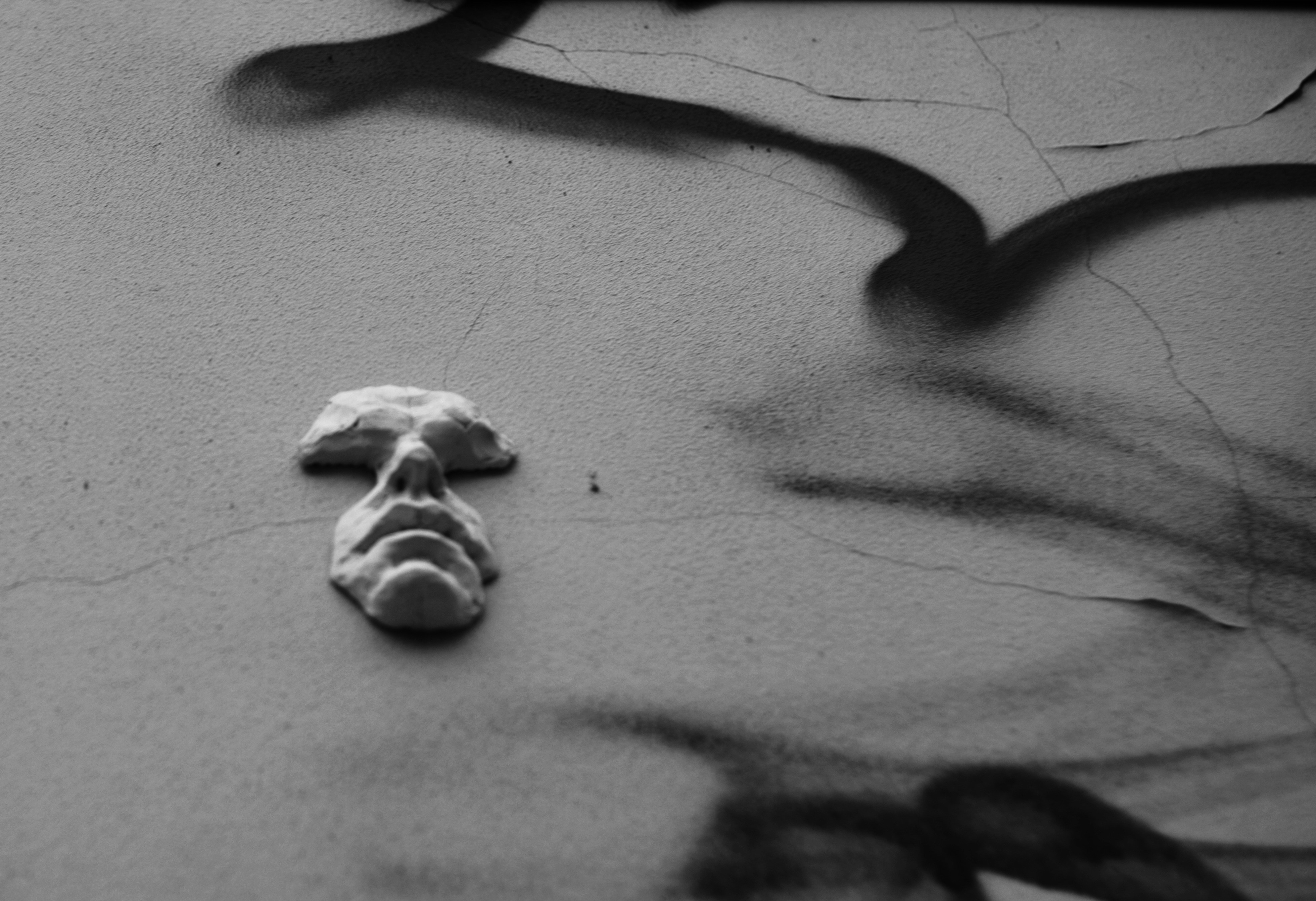 Photo by cherstve_pechivo