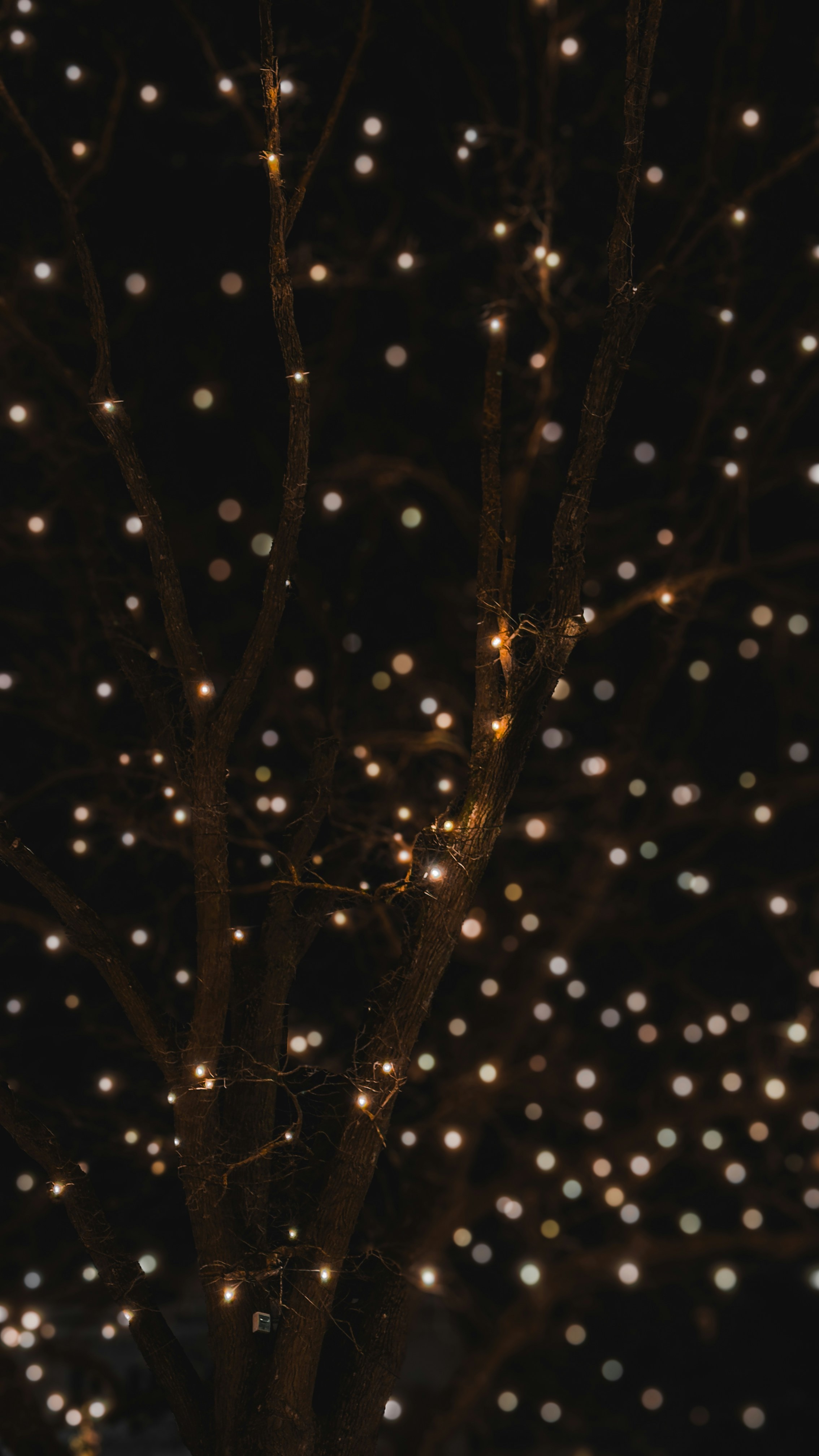 Photo by everydaymoments