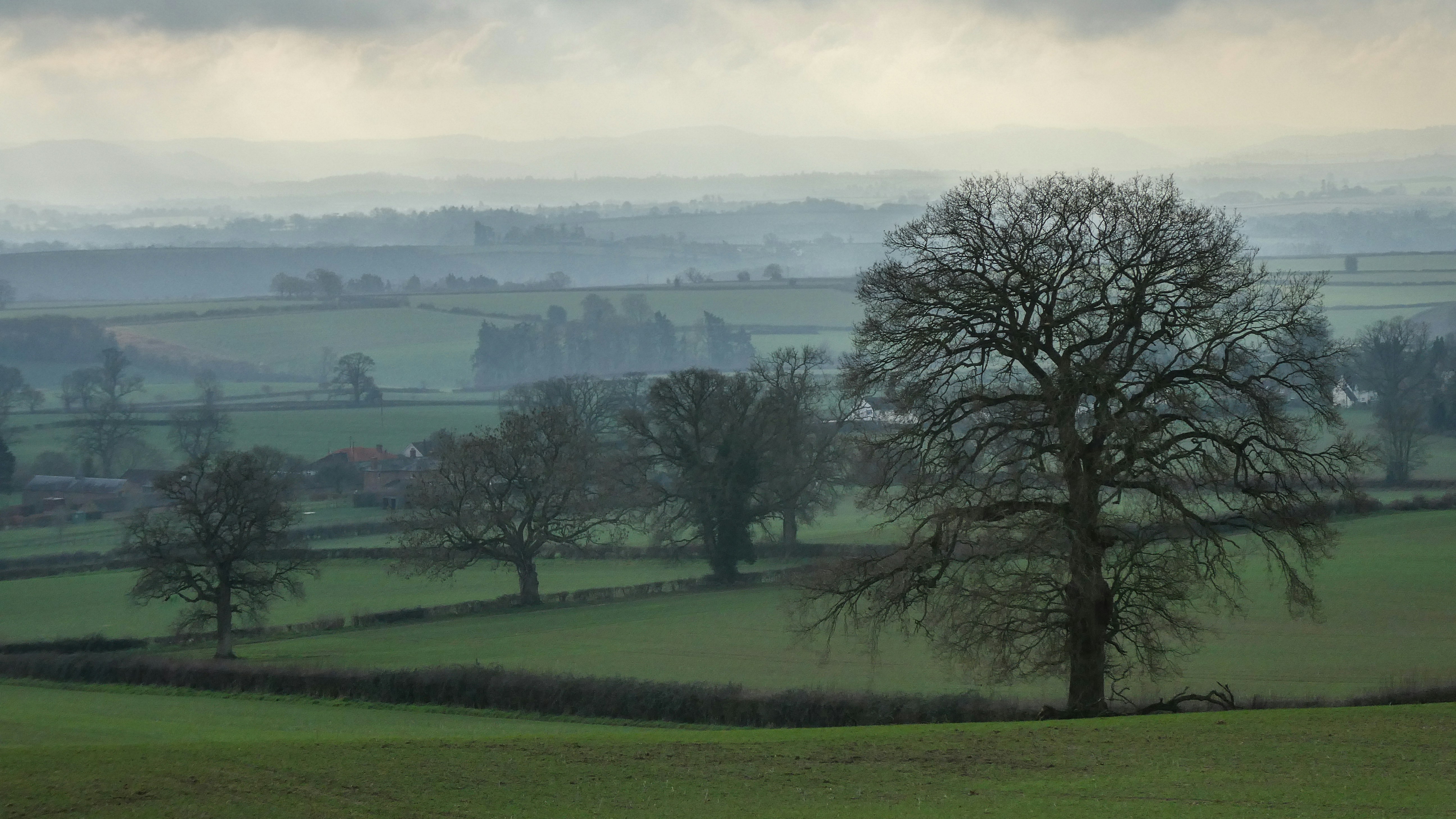 Photo by kevinhessey