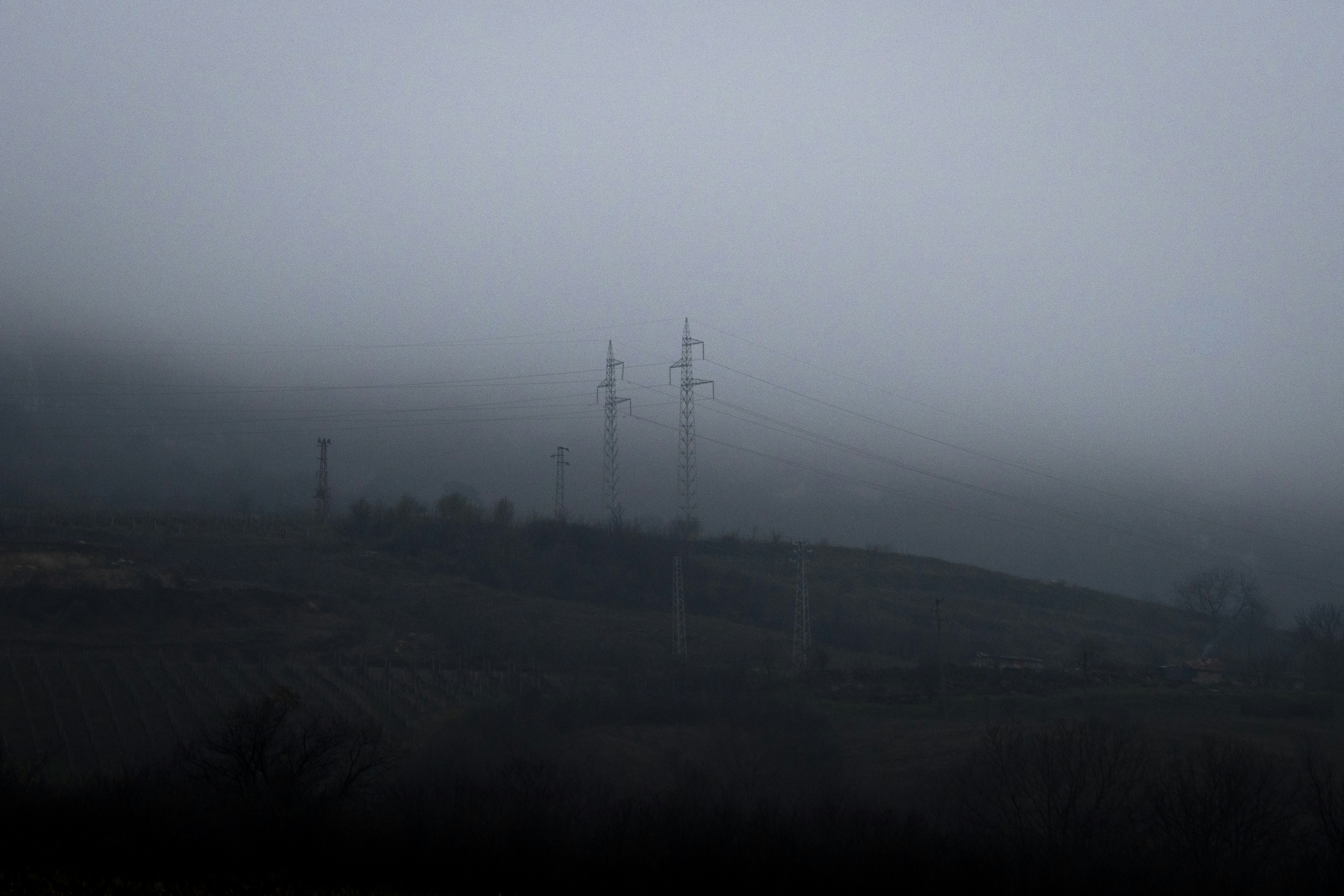 Photo by viktordanov