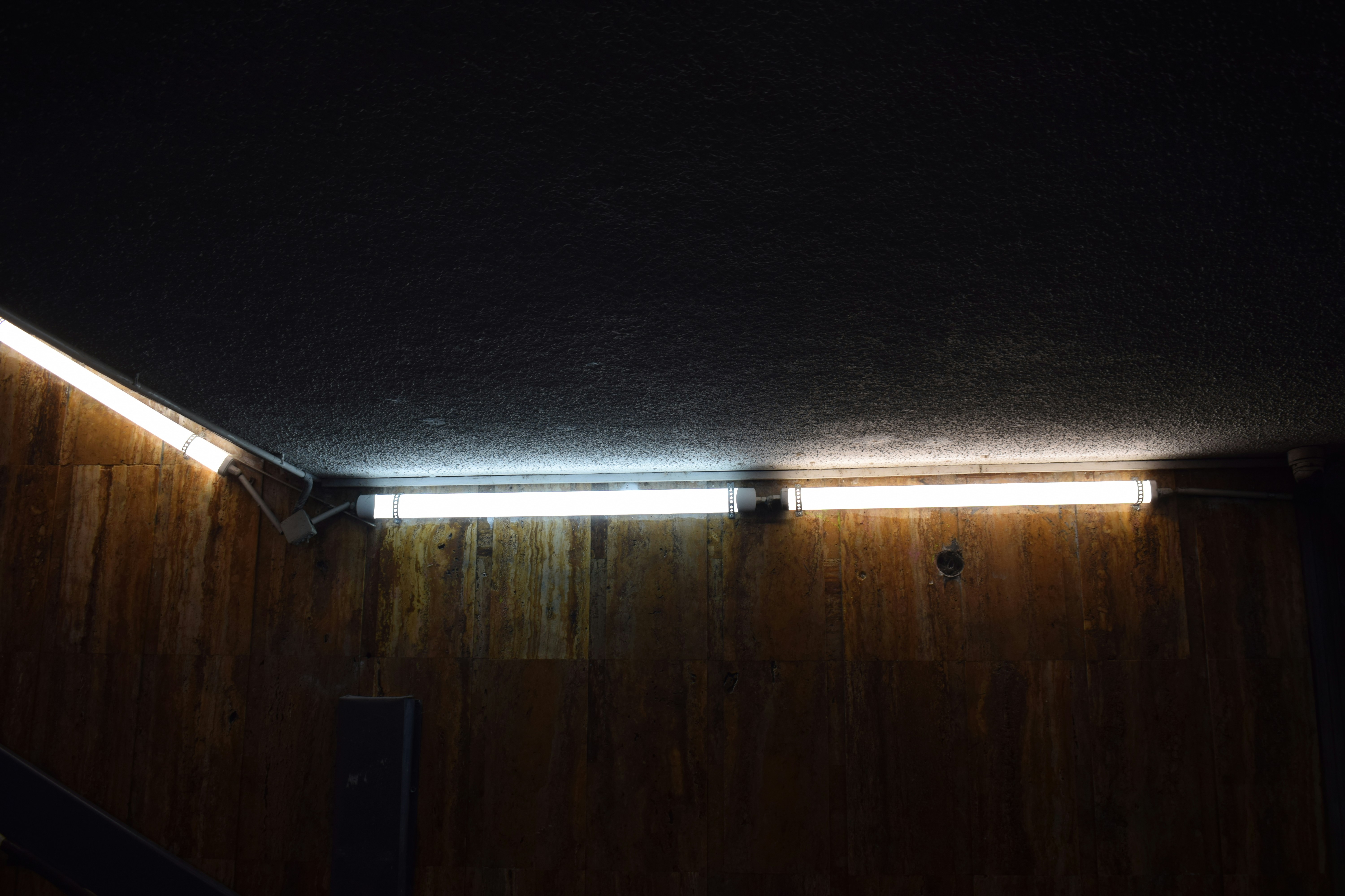 Two fluorescent lights illuminate a wood-paneled wall.