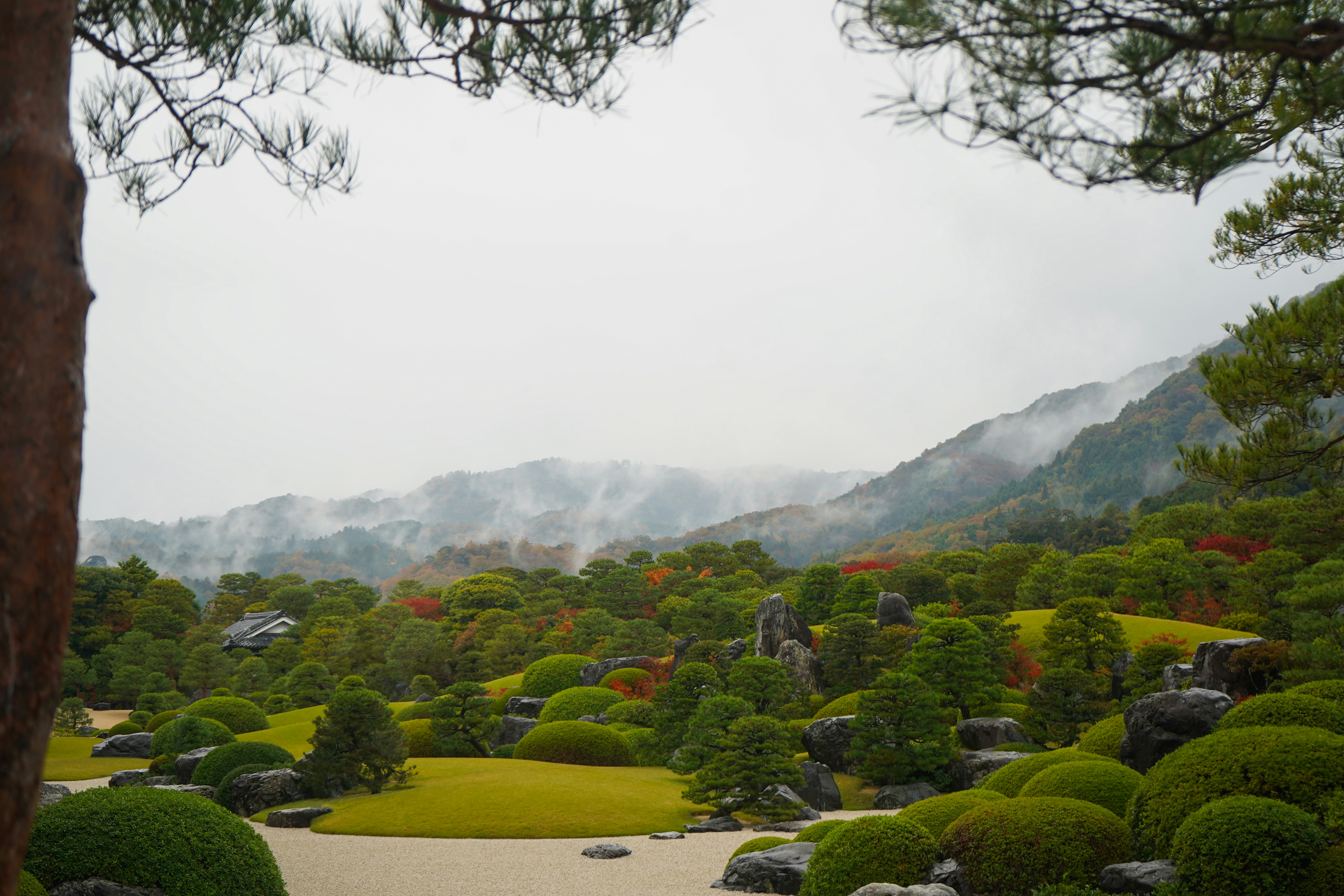 Steaming outdoor onsen with lush Japanese scenery