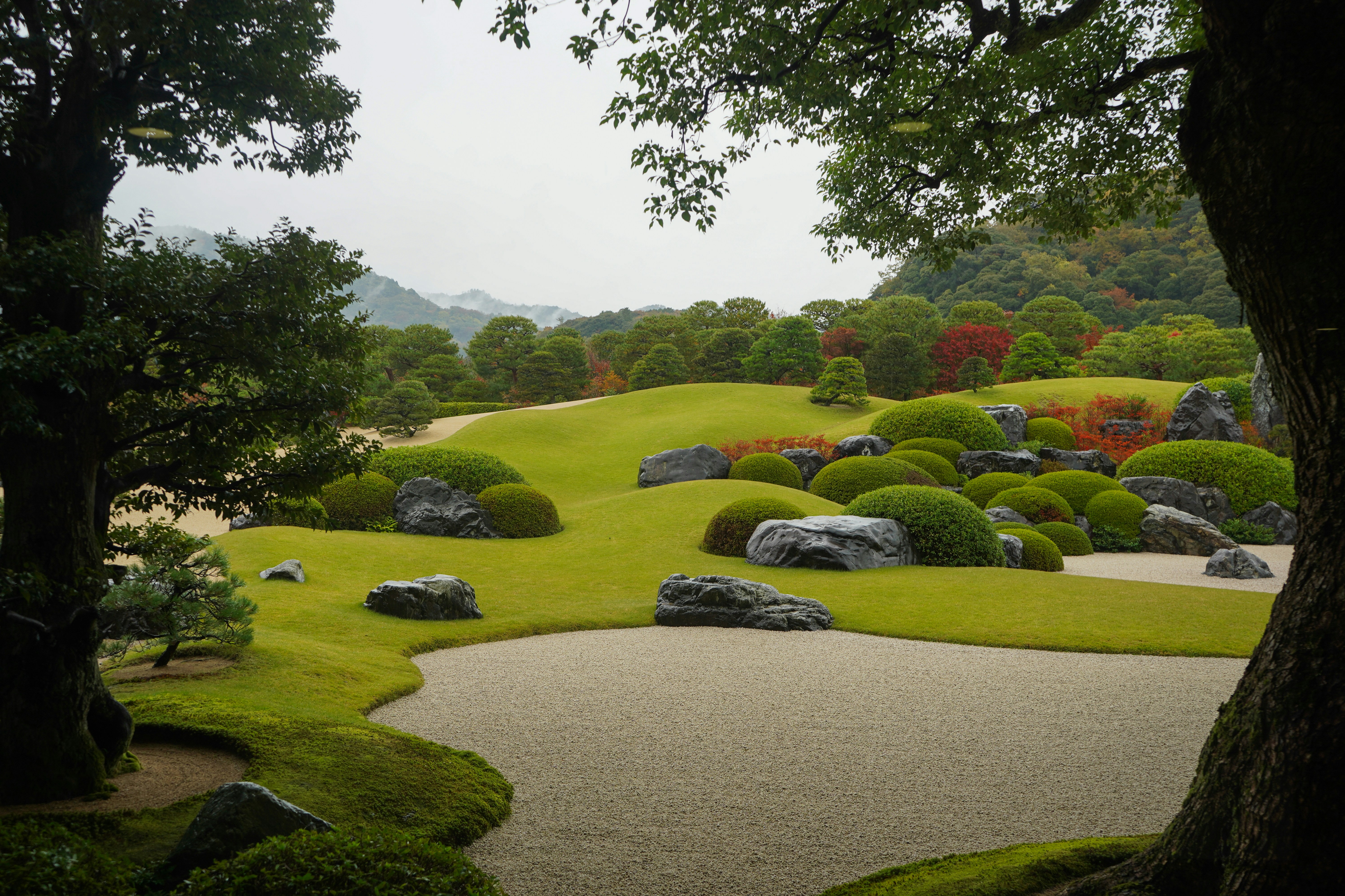 Rigoglioso giardino giapponese con cespugli e rocce curate.