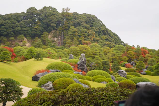 Lush japanese garden with manicured trees and rocks.